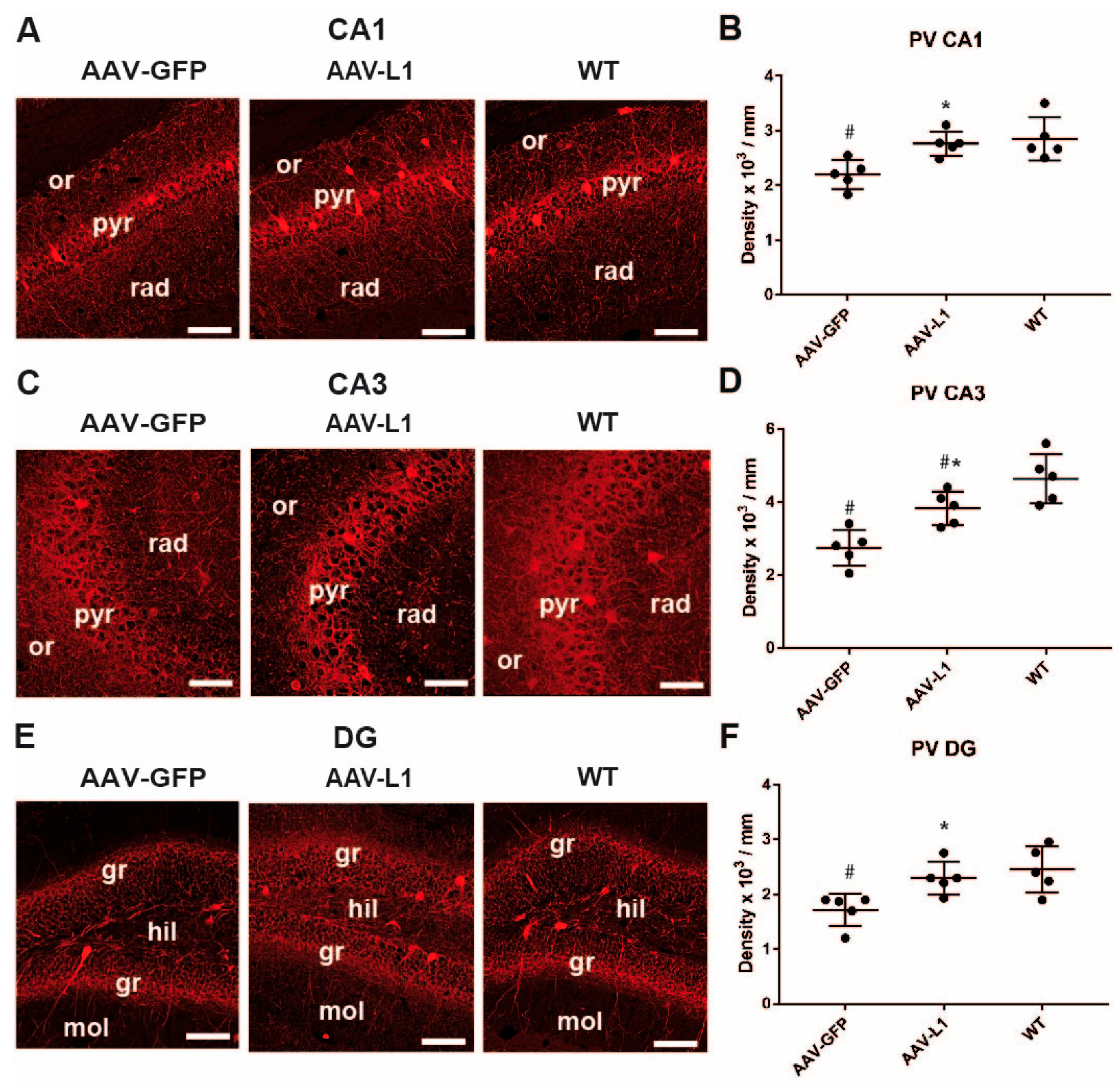 Biomedicines 12 01726 g003