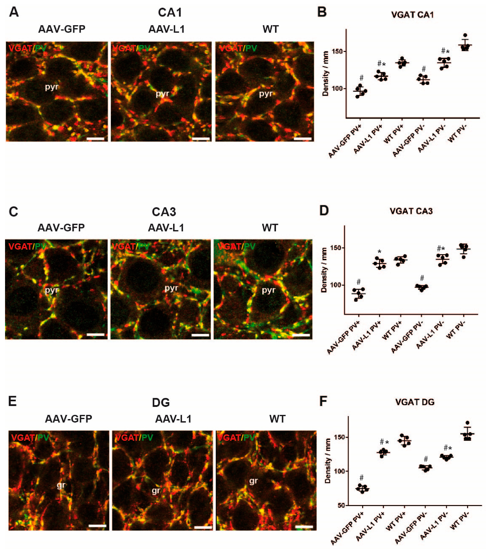 Biomedicines 12 01726 g004