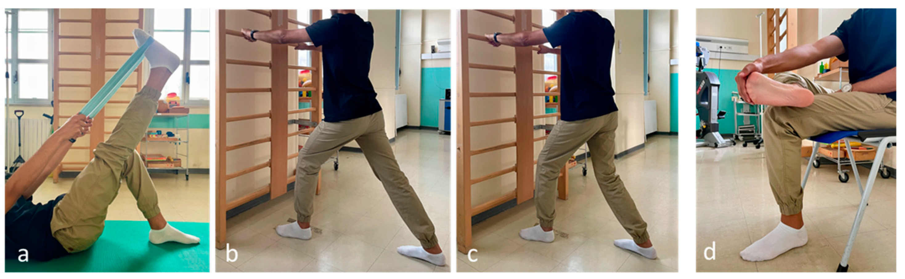 Biomedicines 12 01729 g001