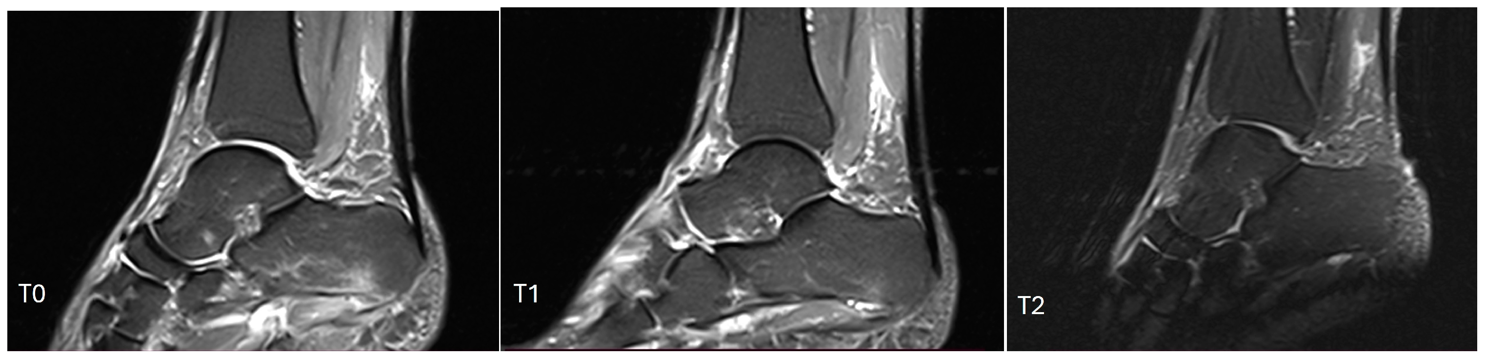 Biomedicines 12 01729 g004