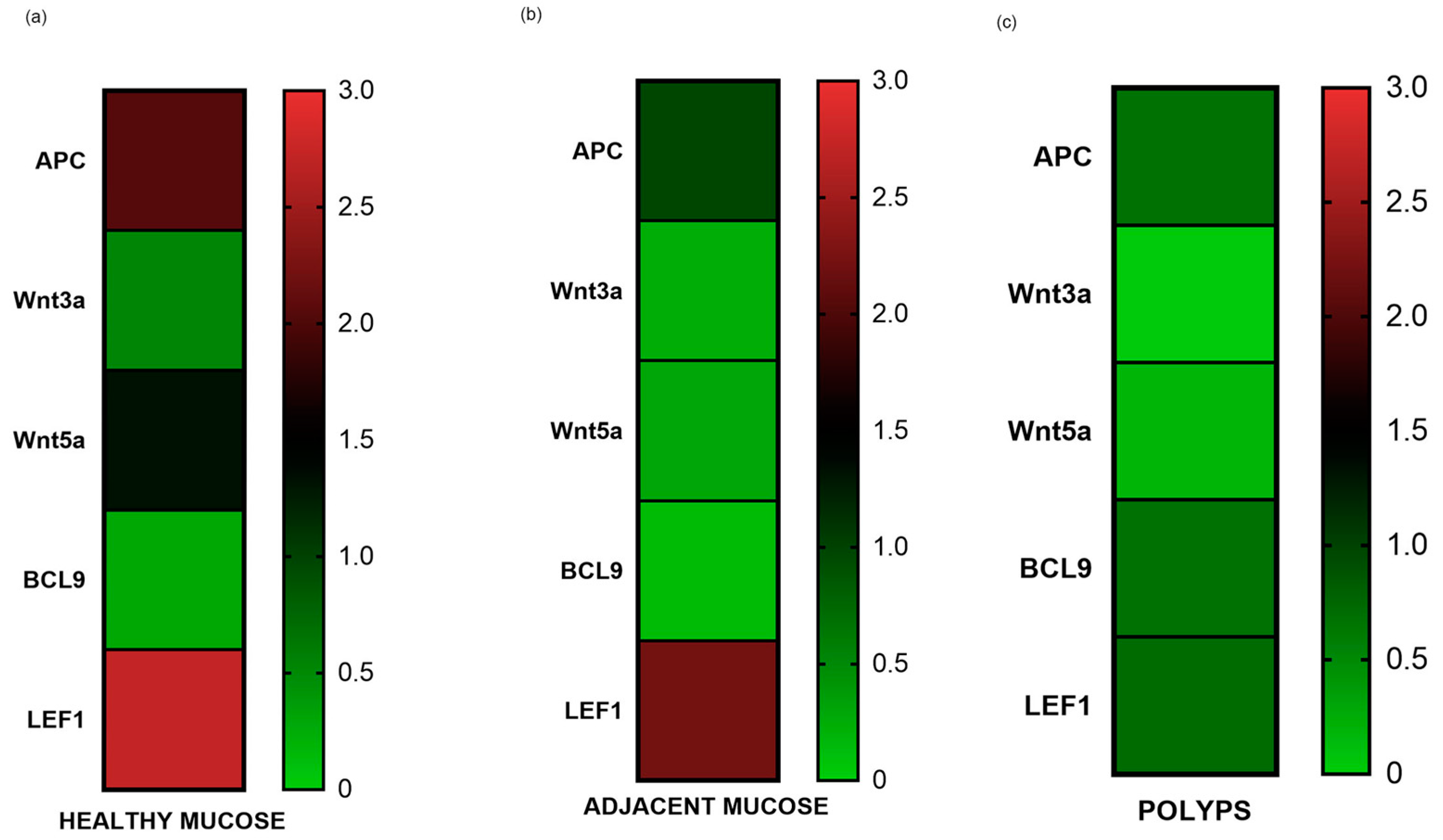 Biomedicines 12 01730 g003 Biomedicines 12 01730 g003