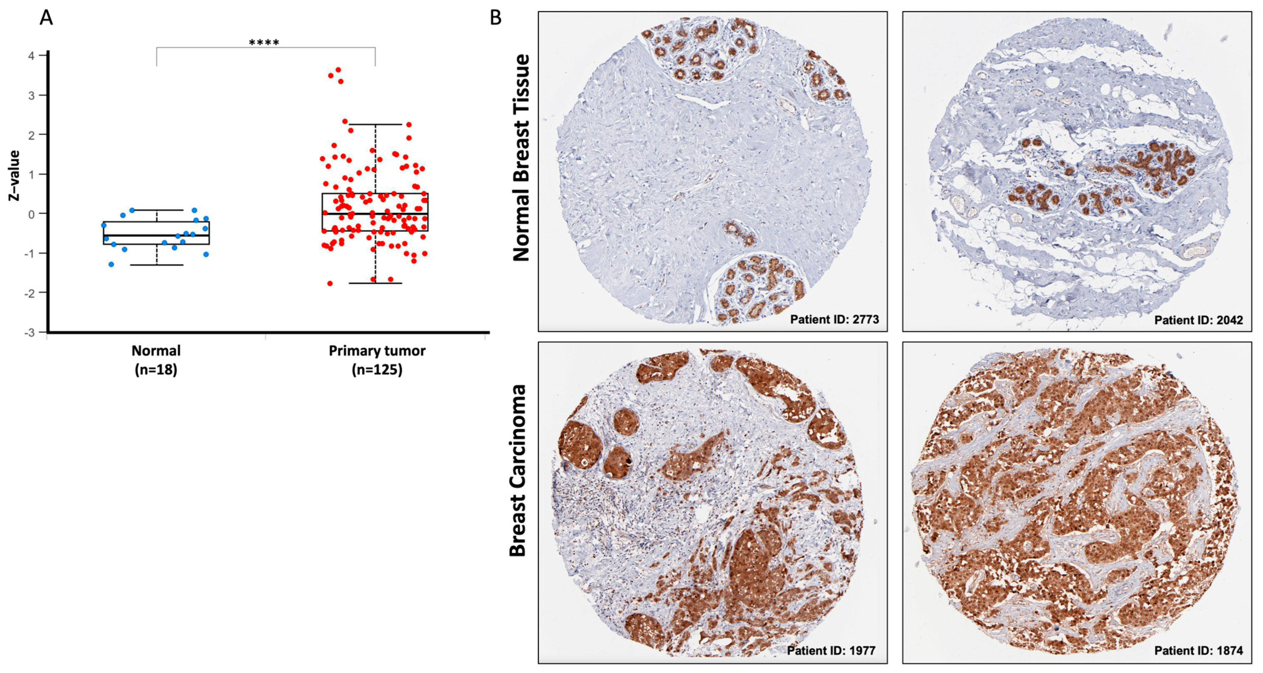 Biomedicines 12 01732 g003