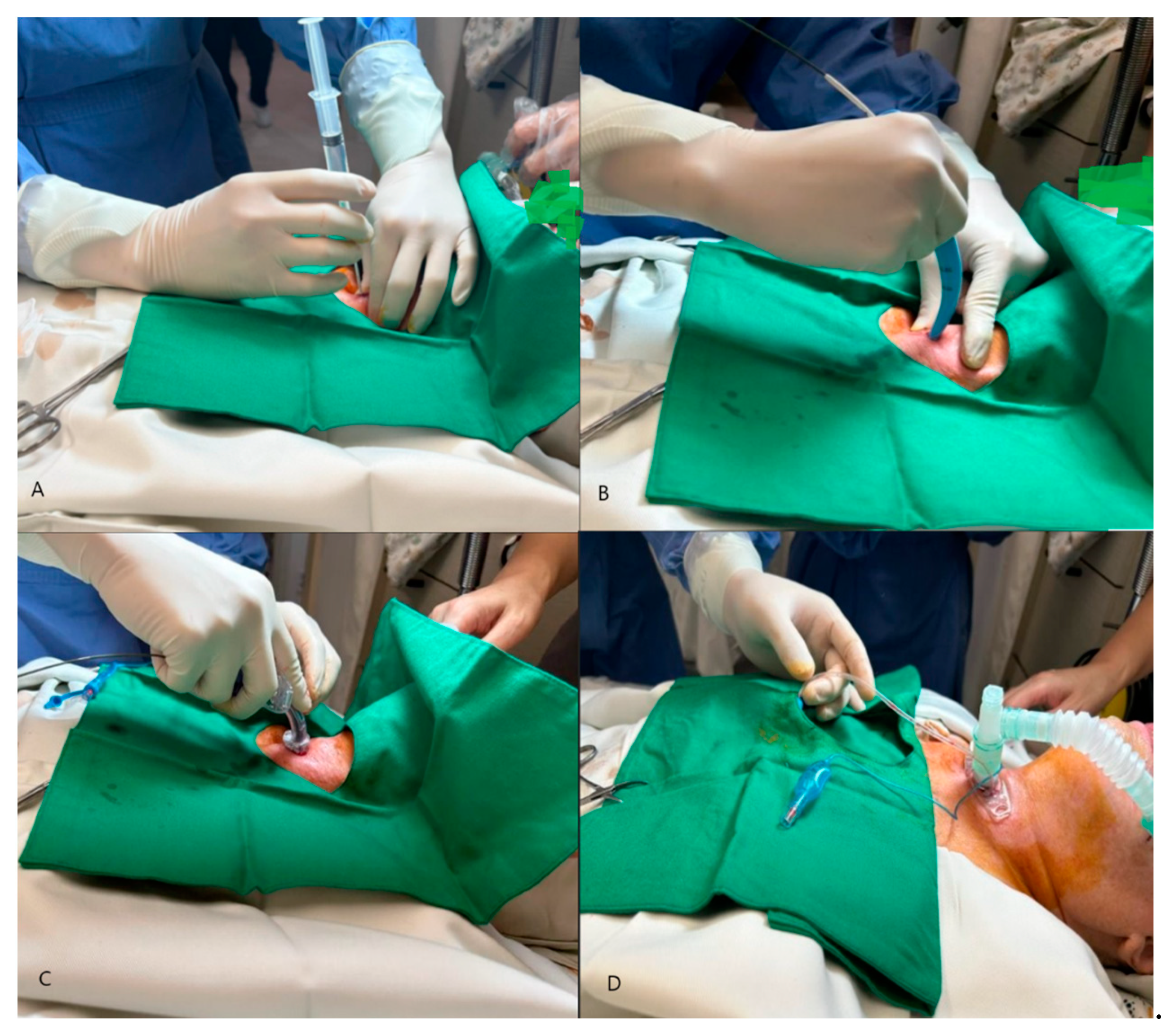 Biomedicines 12 01734 g001