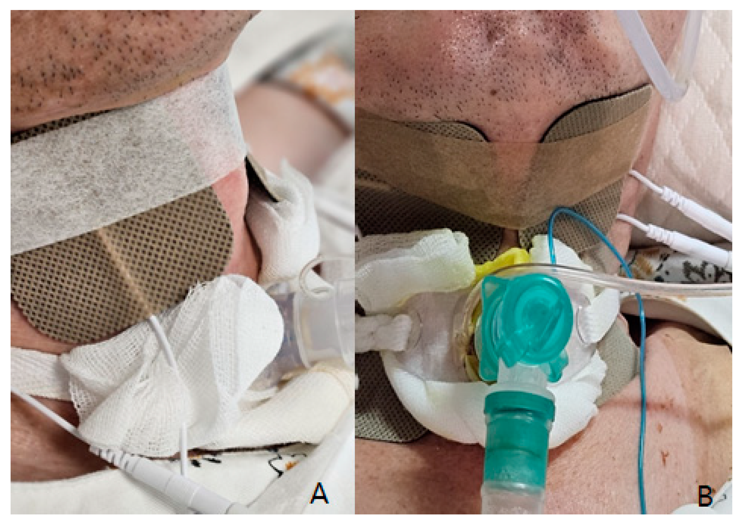 Biomedicines 12 01734 g002