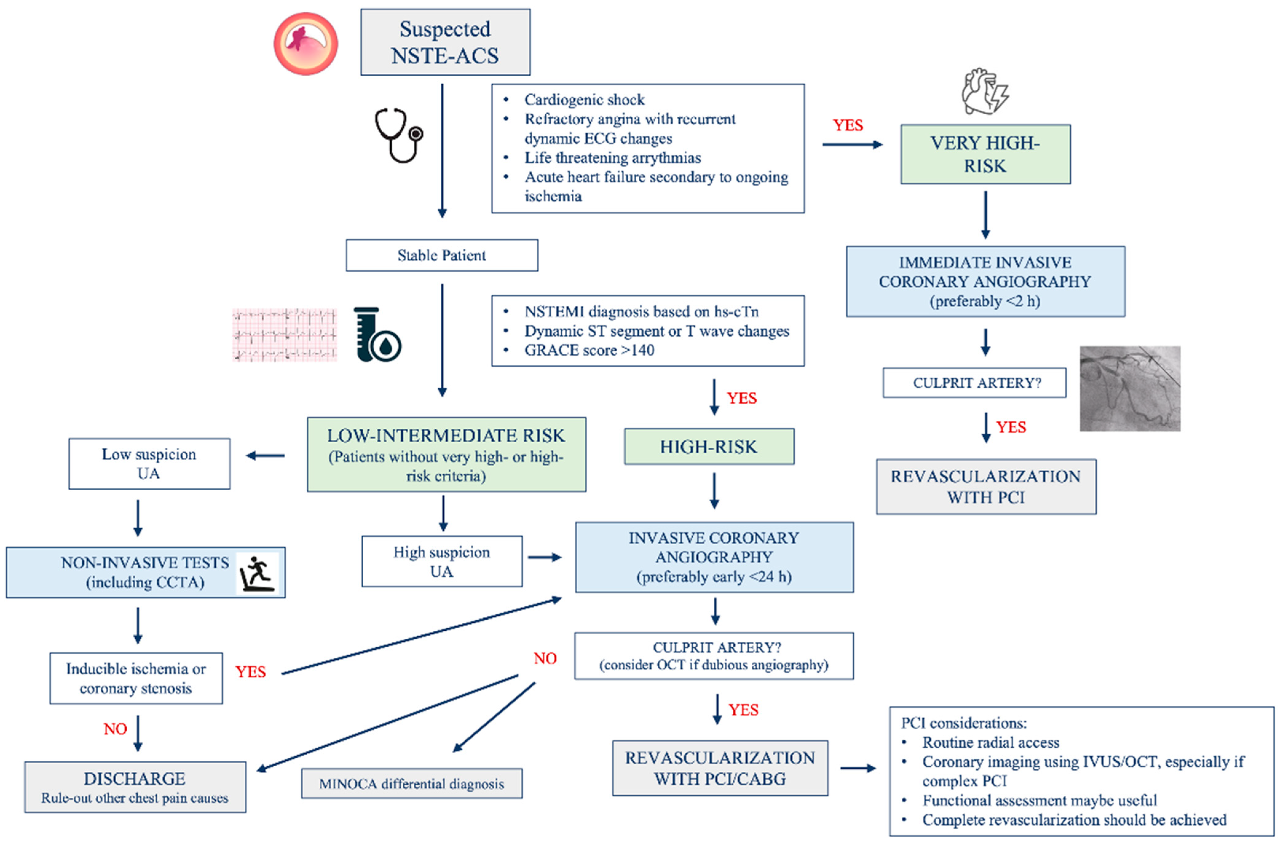Biomedicines 12 01736 g002