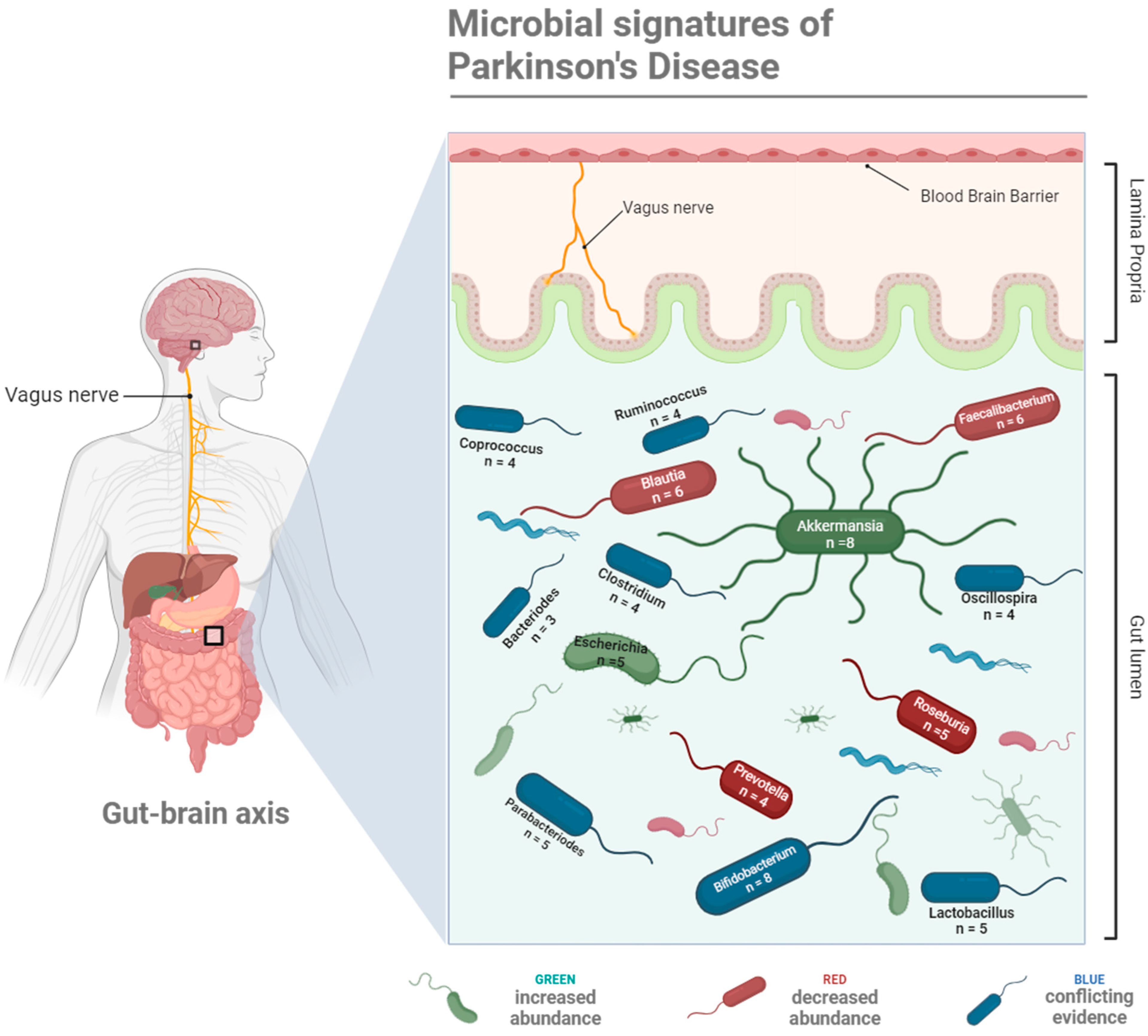 Biomedicines 12 01738 g001