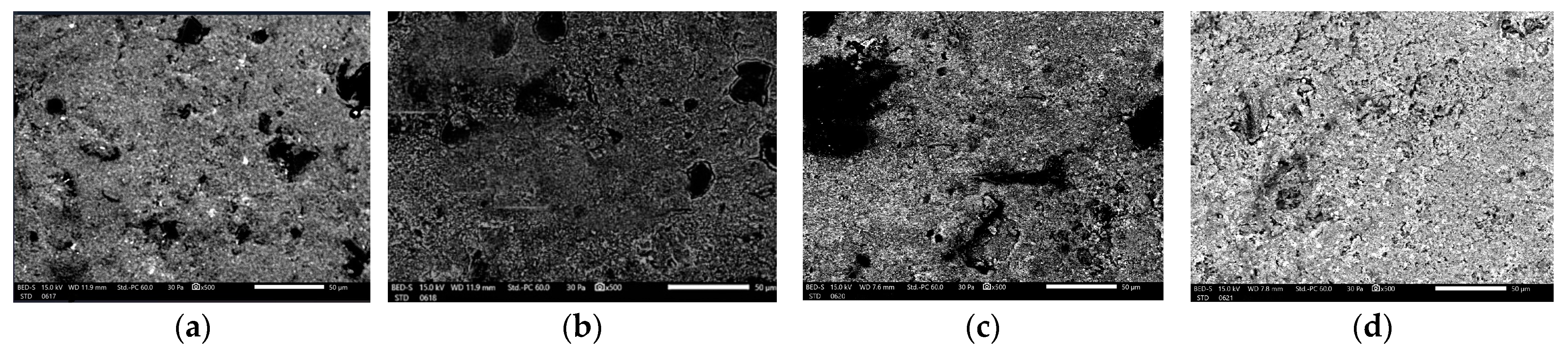 Biomedicines 12 01740 g001
