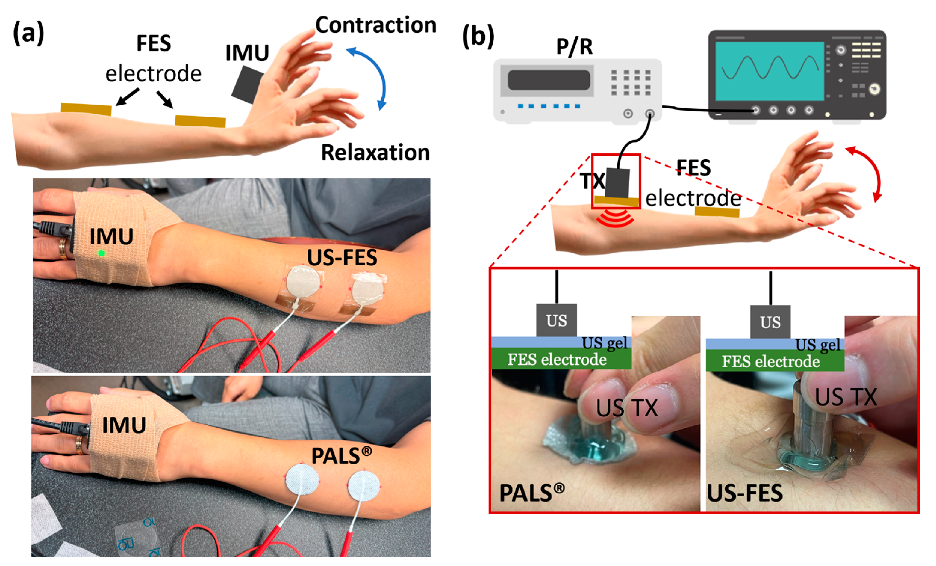 Biomedicines 12 01741 g002