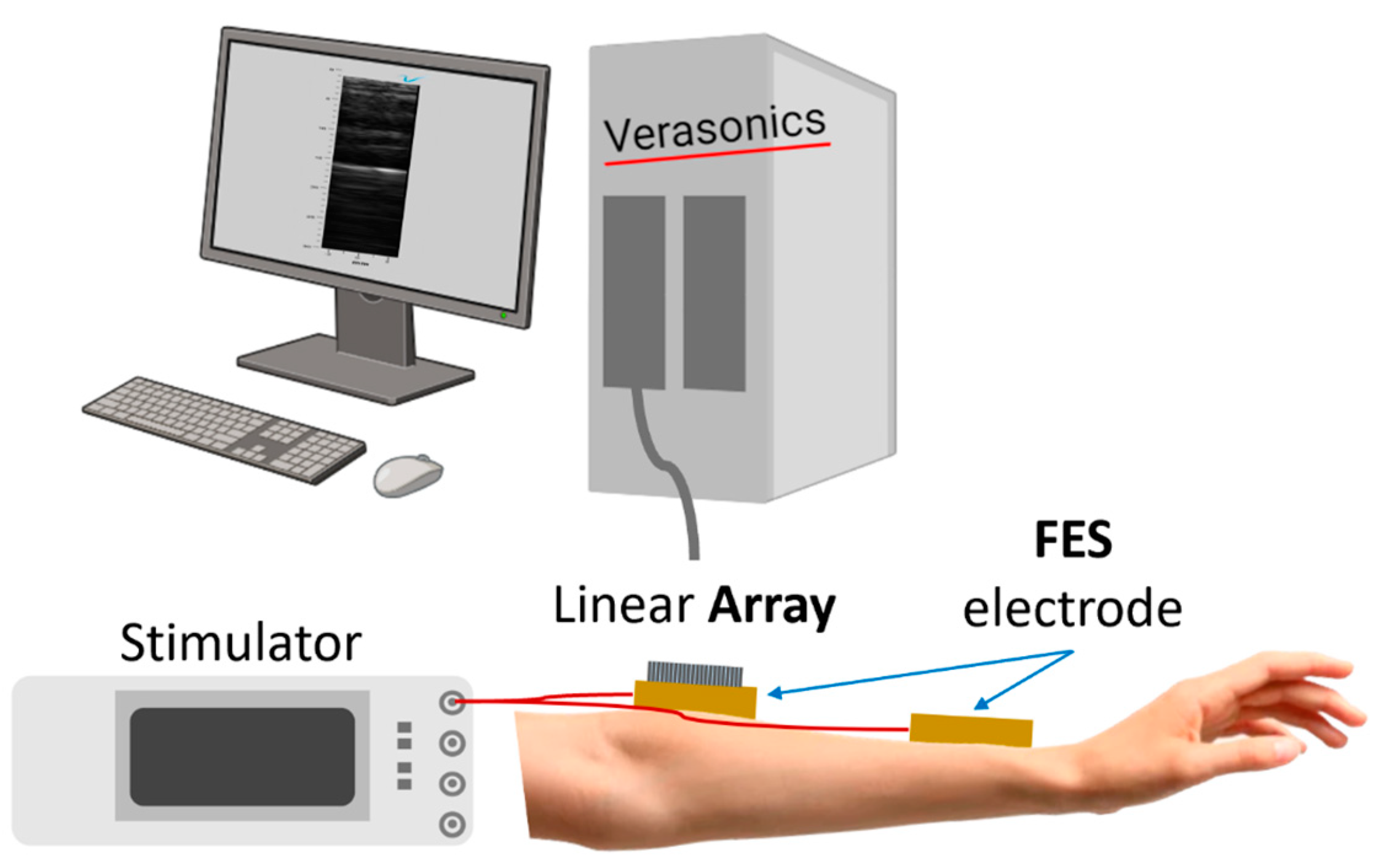 Biomedicines 12 01741 g003