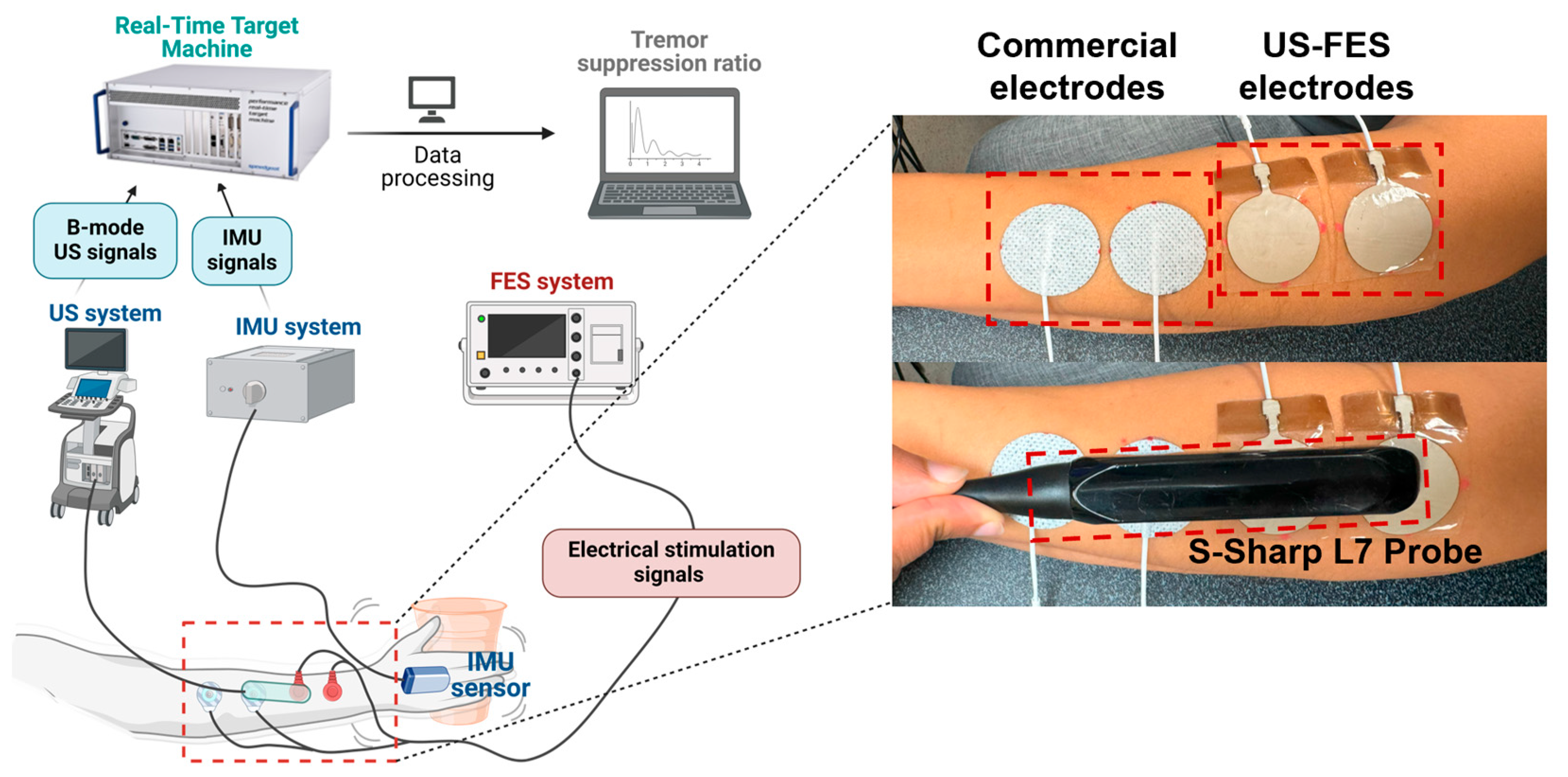 Biomedicines 12 01741 g004