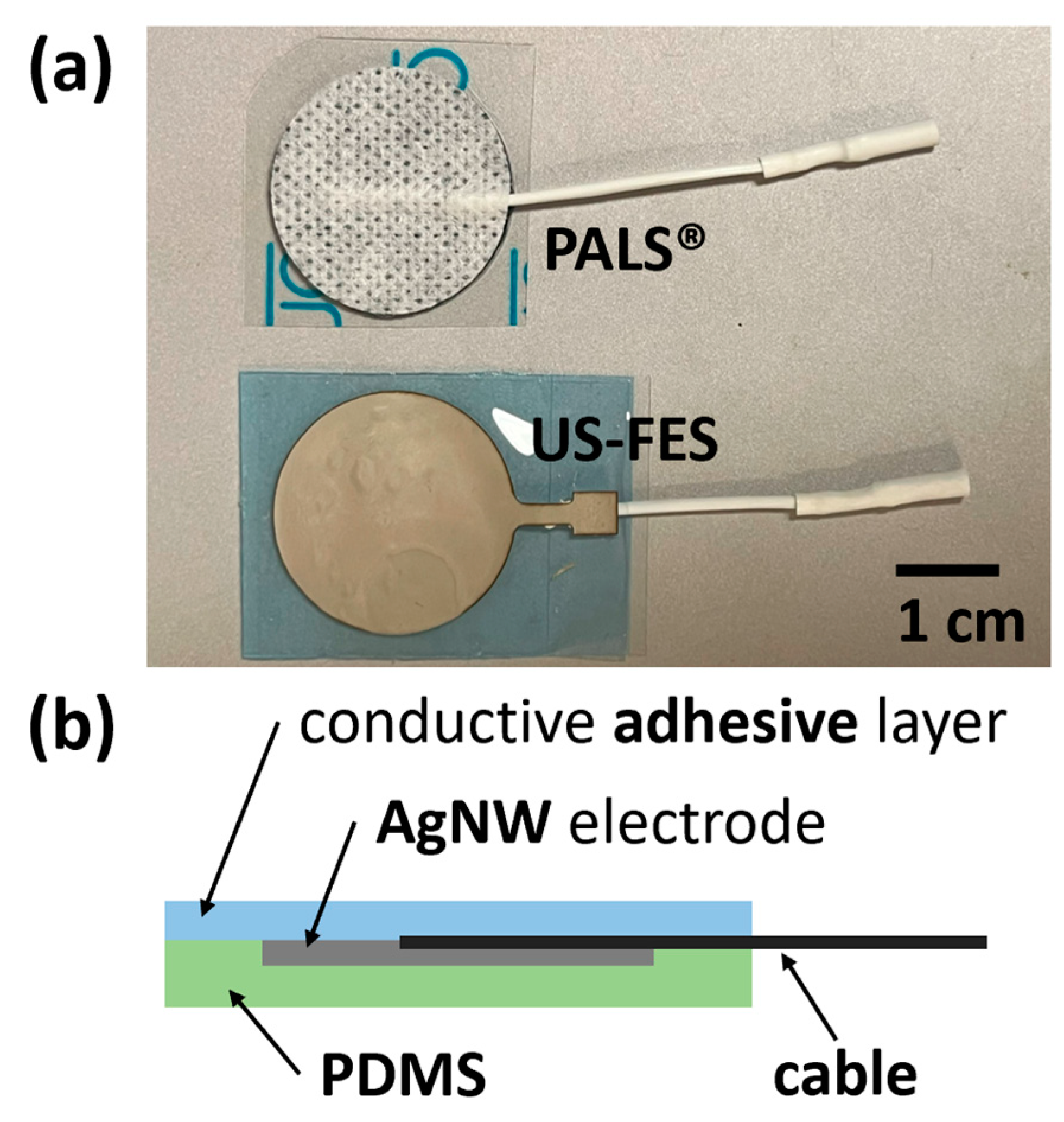 Biomedicines 12 01741 g005