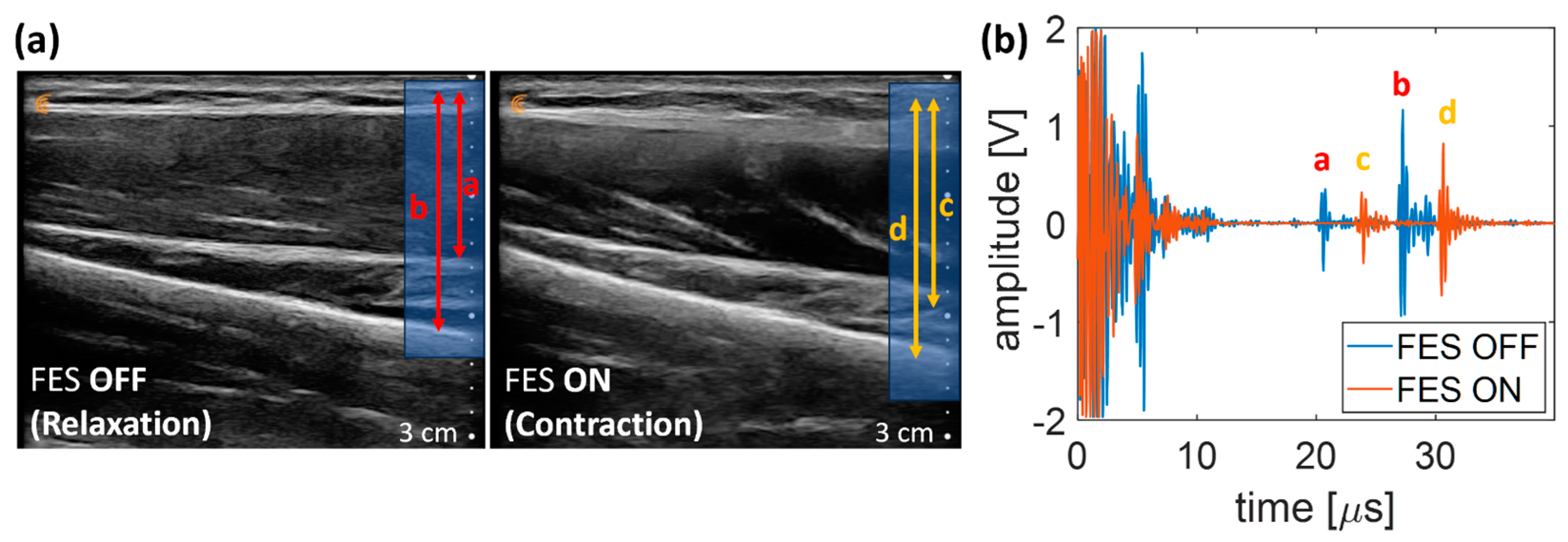 Biomedicines 12 01741 g009