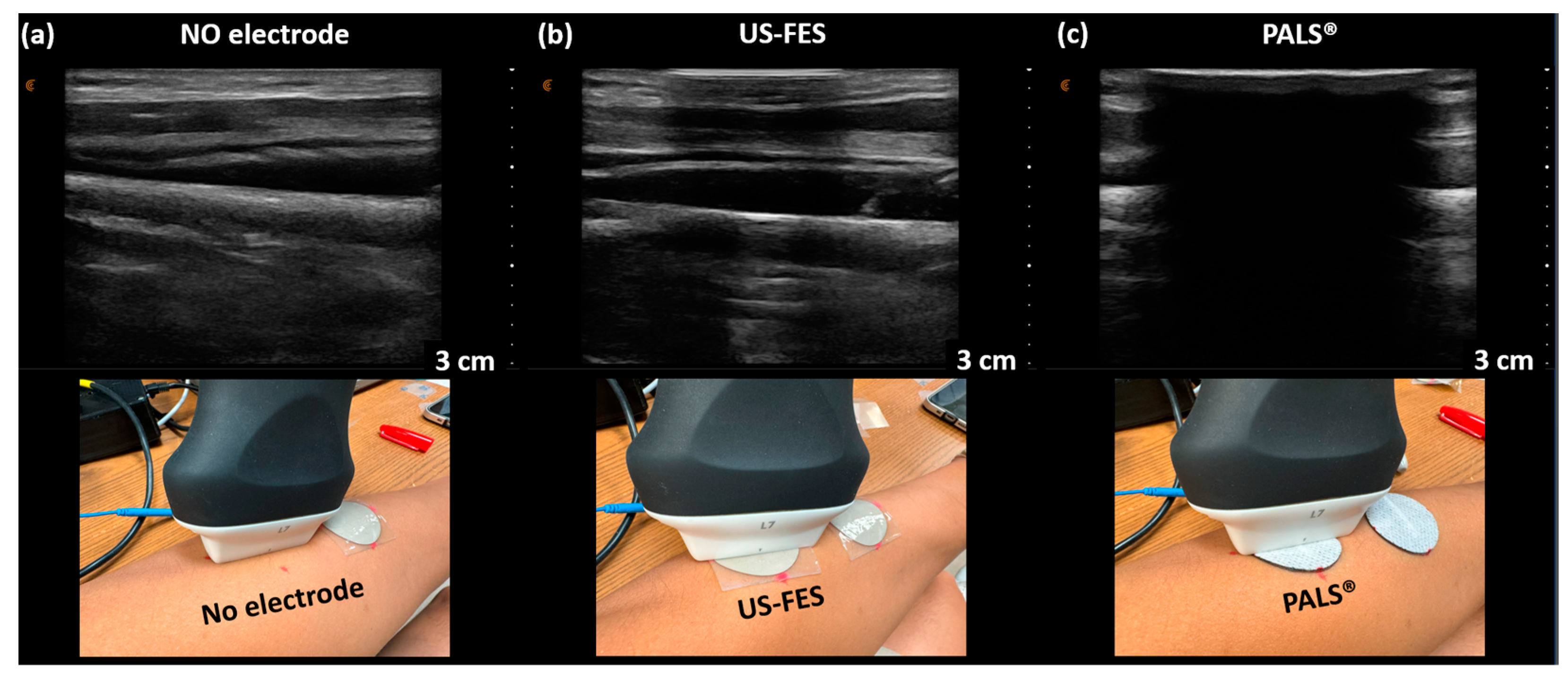 Biomedicines 12 01741 g011