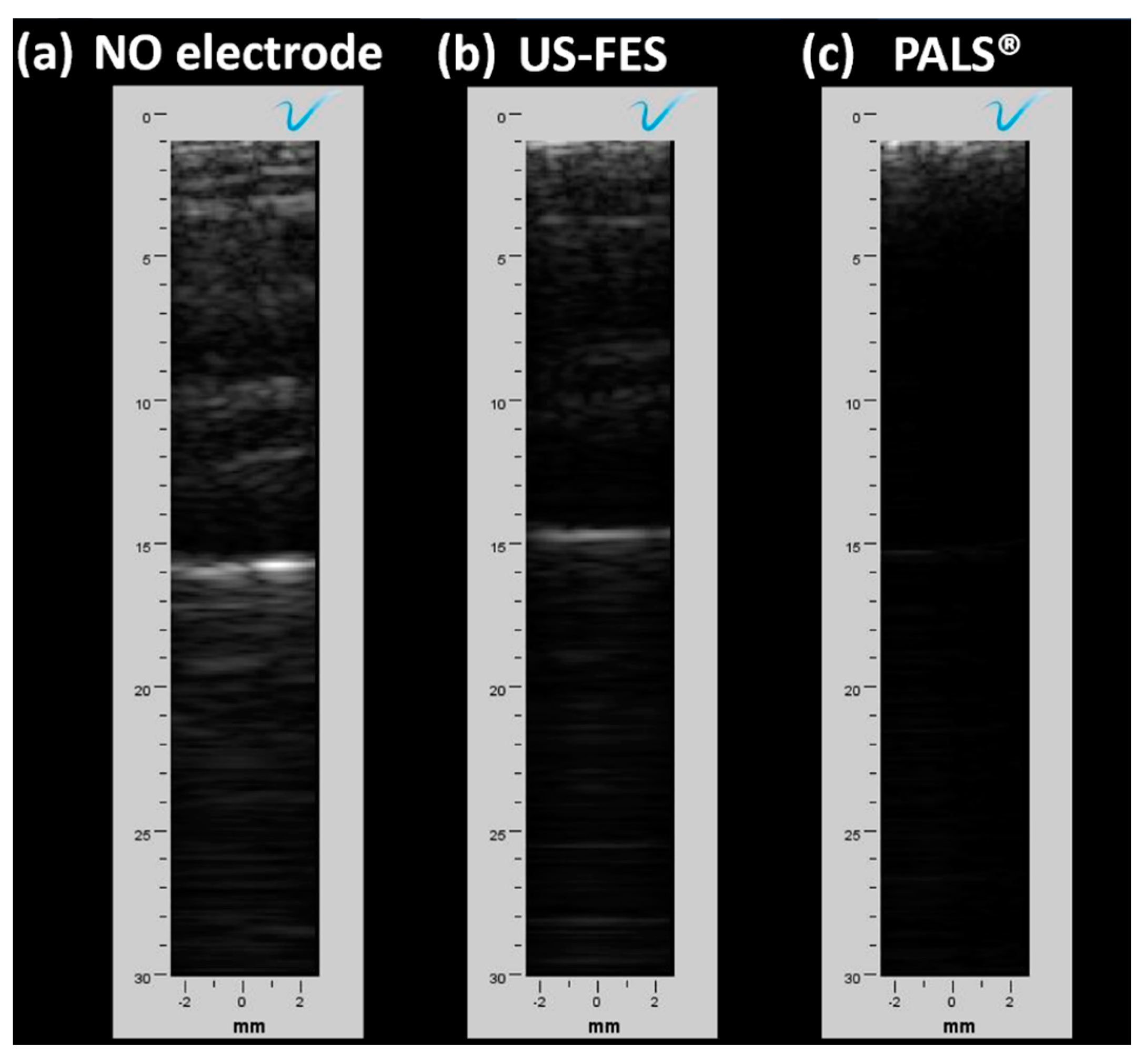 Biomedicines 12 01741 g012