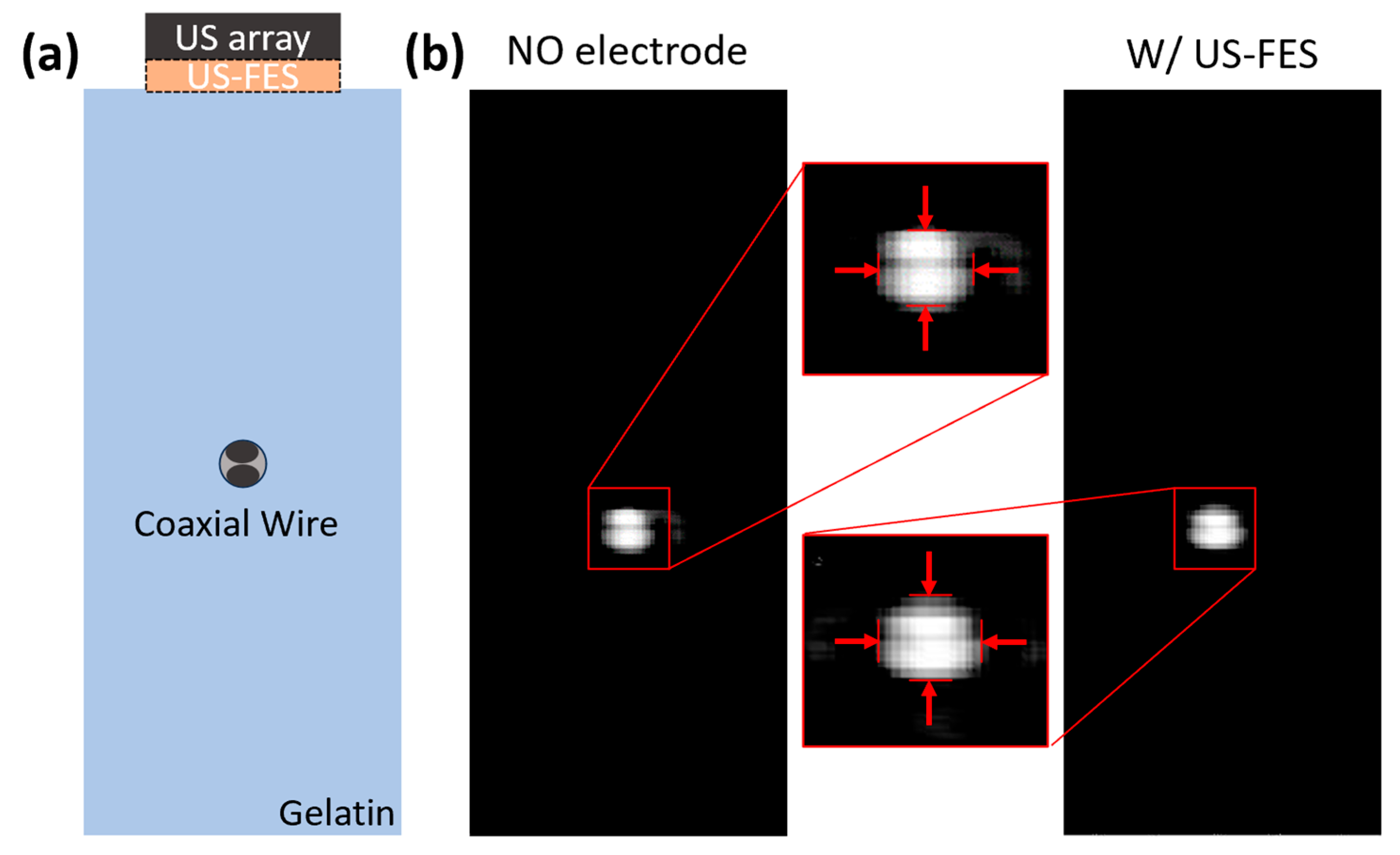 Biomedicines 12 01741 g013