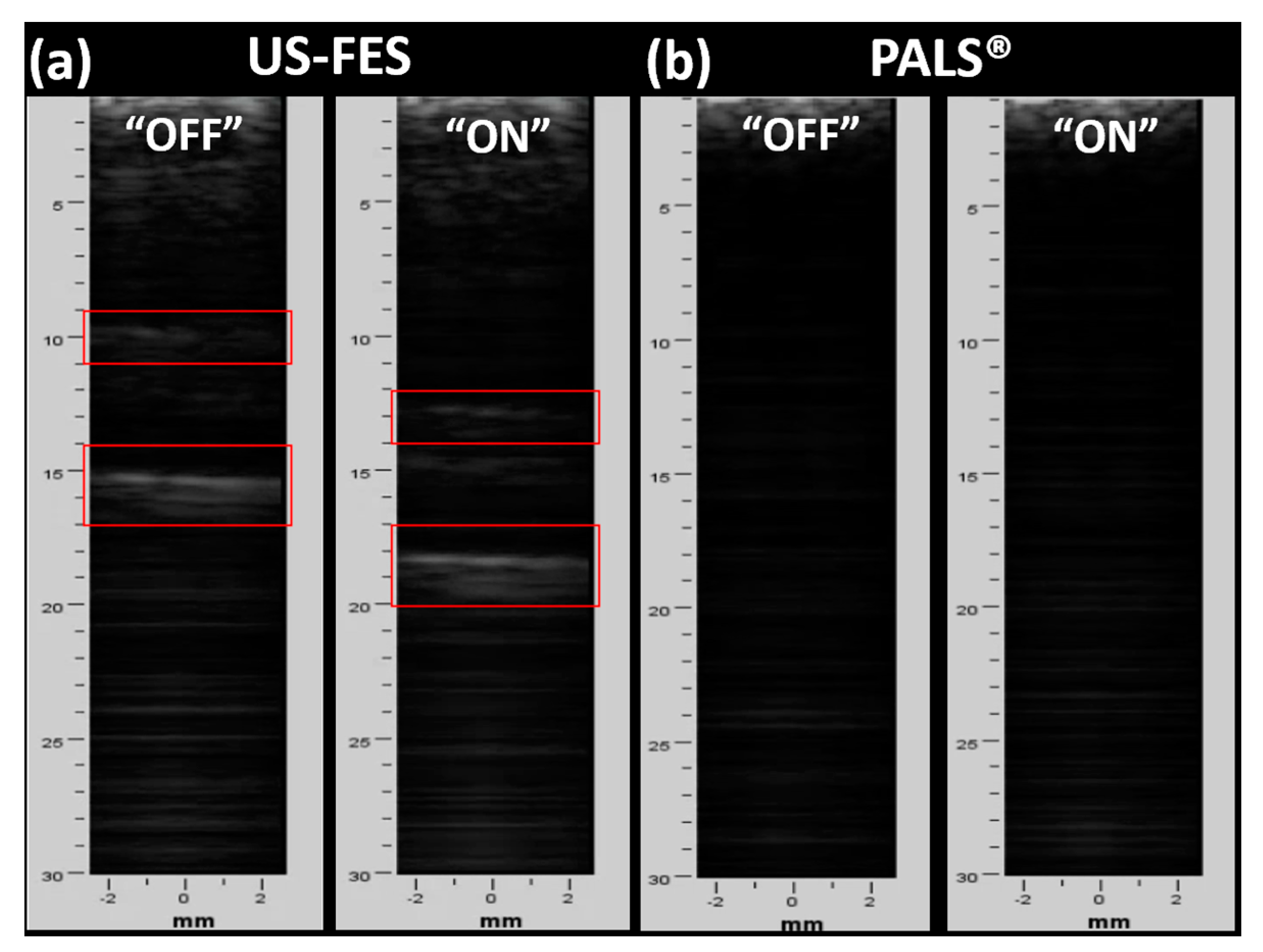 Biomedicines 12 01741 g014