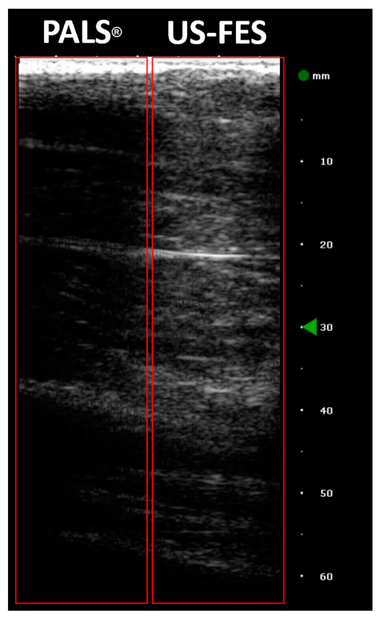 Biomedicines 12 01741 g015