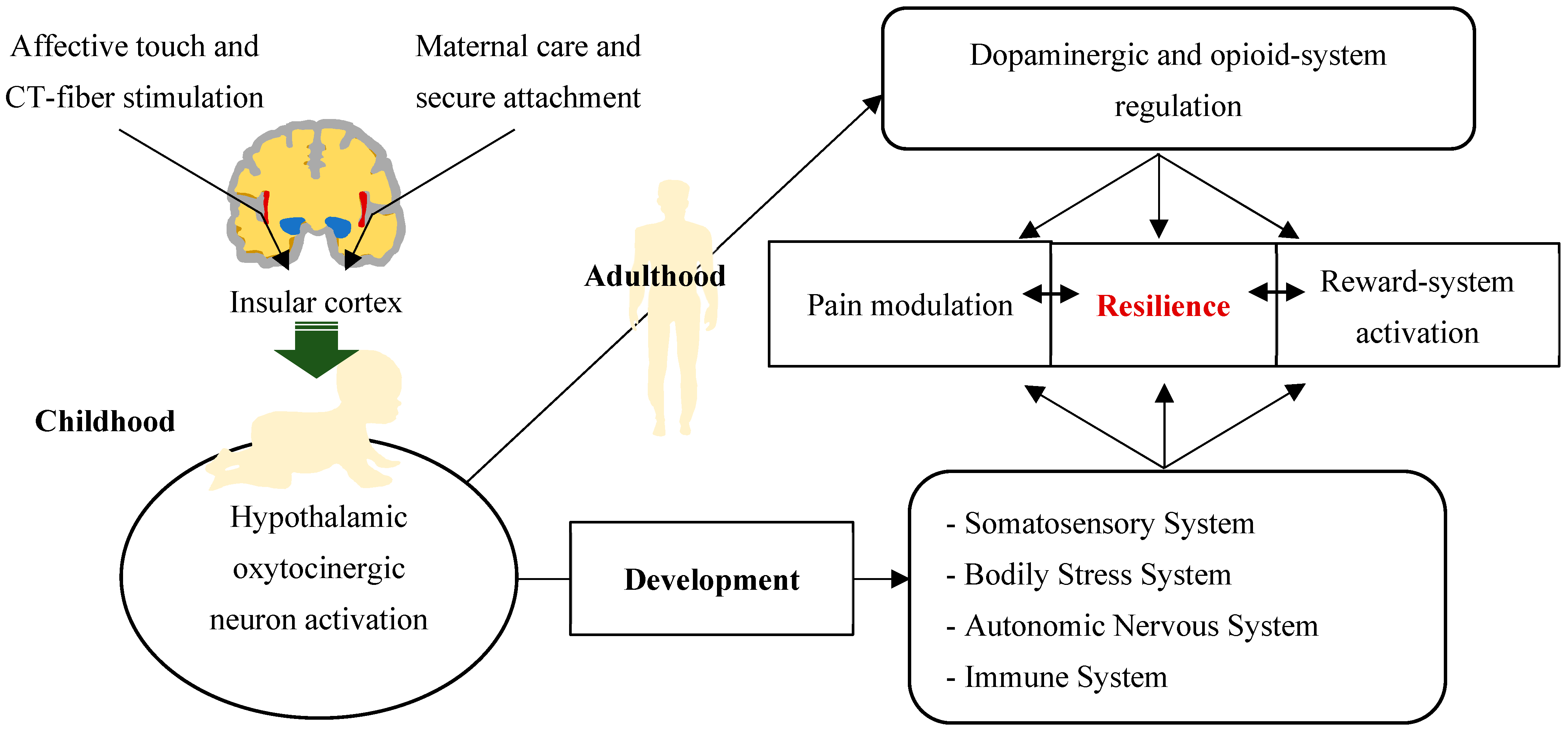 Biomedicines 12 01744 g003 Biomedicines 12 01744 g003