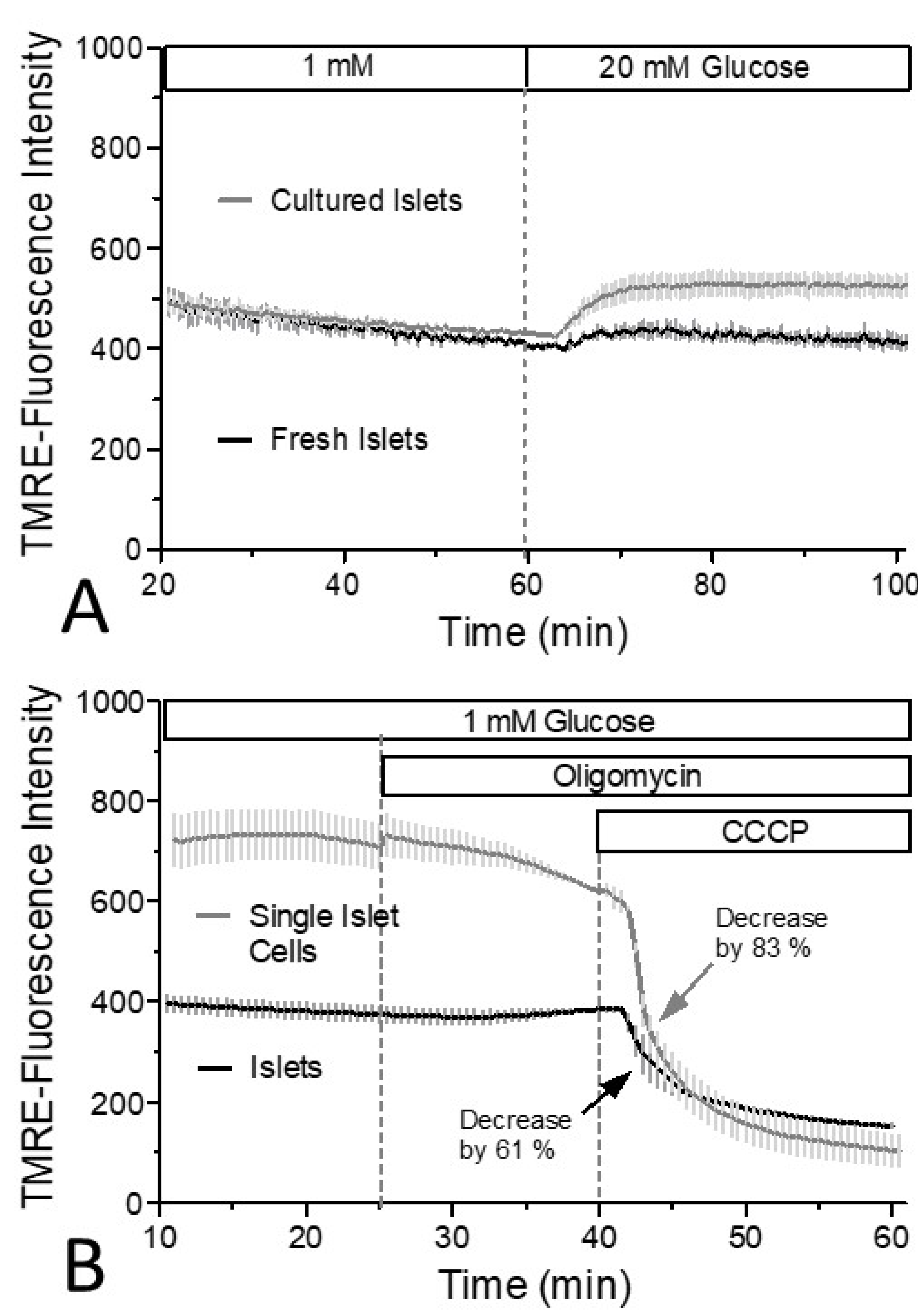 Biomedicines 12 01747 g005 Biomedicines 12 01747 g005