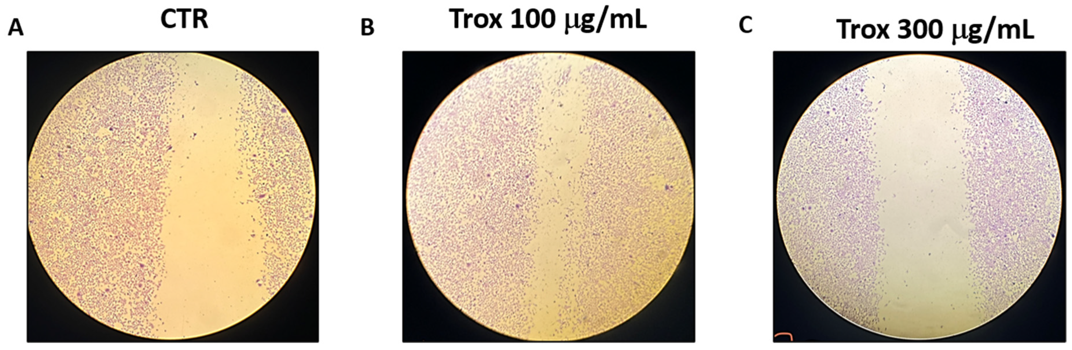 Biomedicines 12 01755 g002 Biomedicines 12 01755 g002