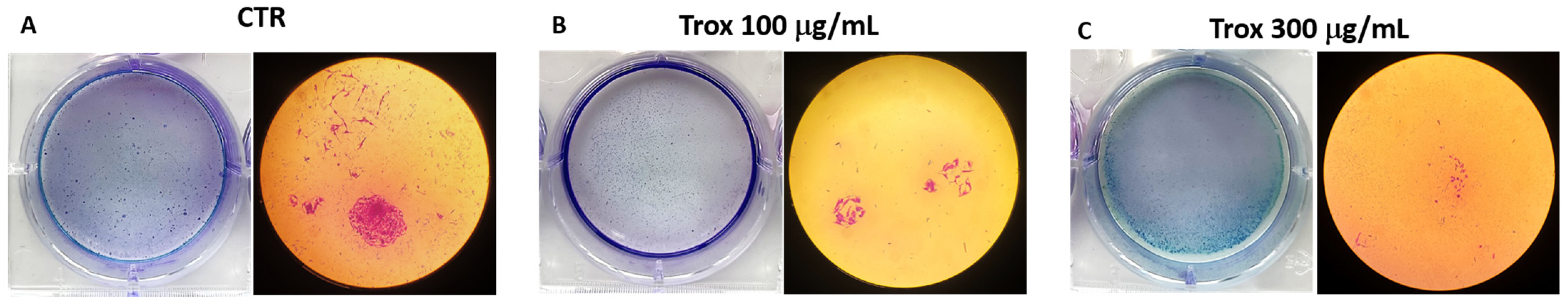 Biomedicines 12 01755 g003 Biomedicines 12 01755 g003