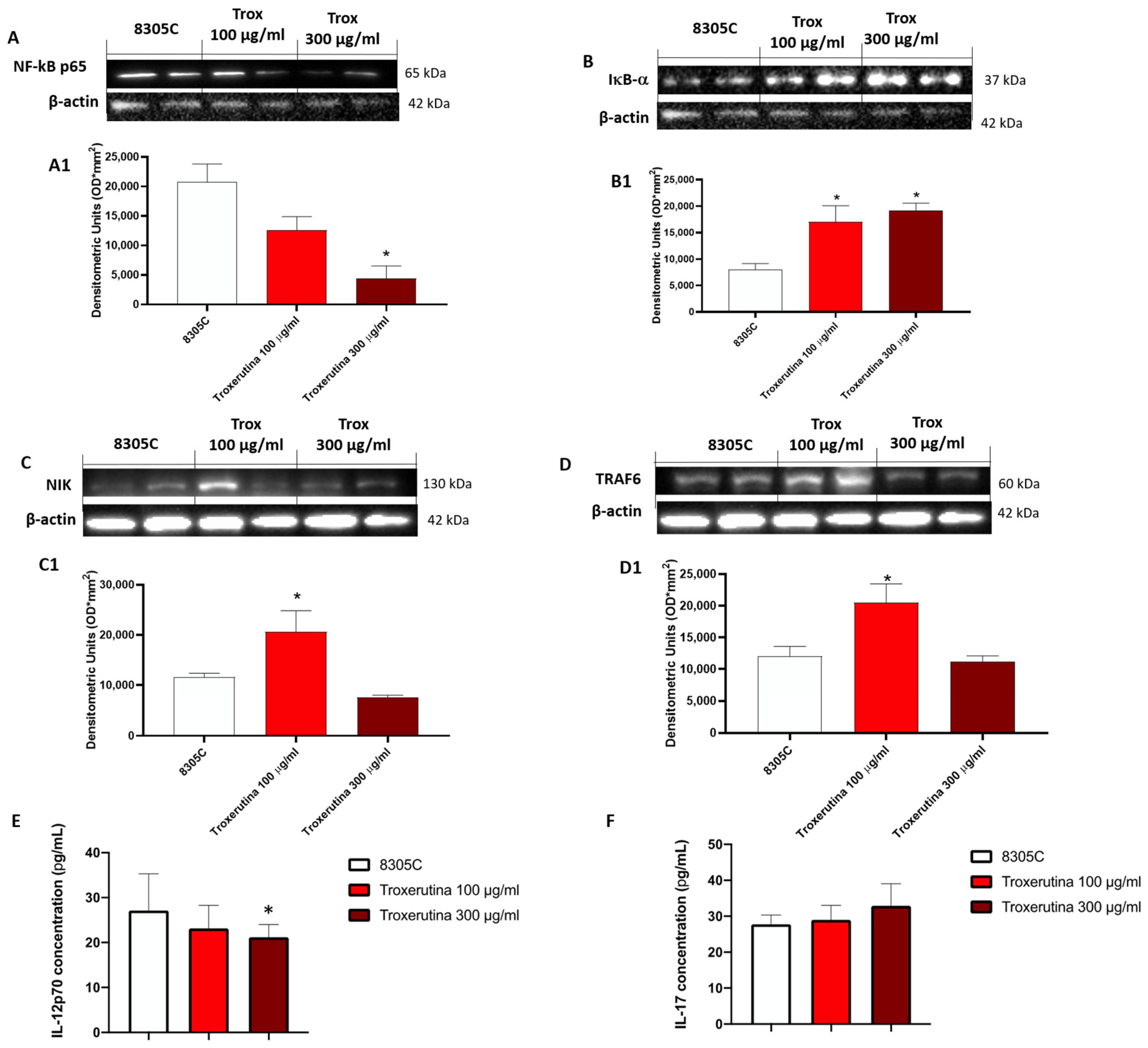 Biomedicines 12 01755 g004 Biomedicines 12 01755 g004