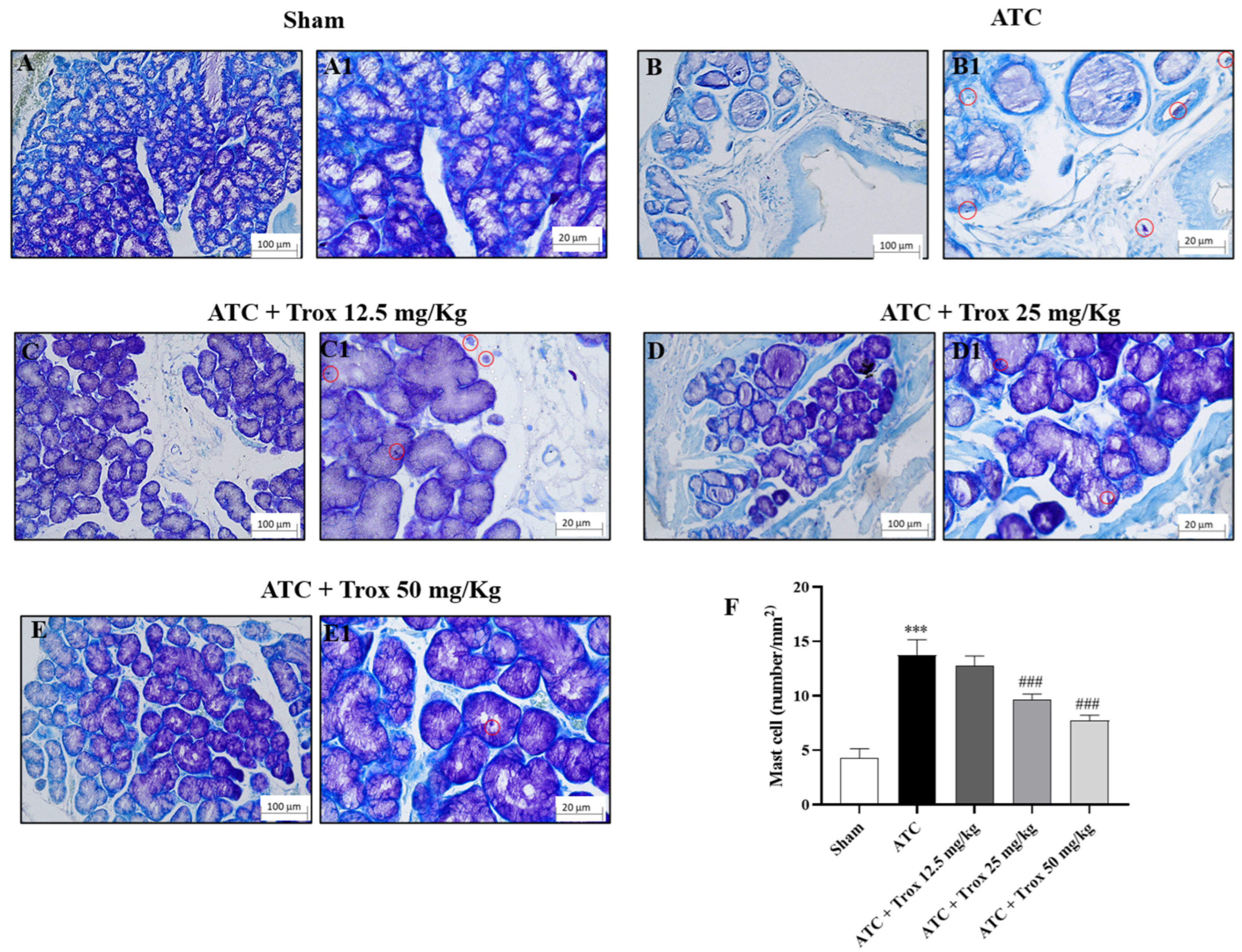 Biomedicines 12 01755 g008 Biomedicines 12 01755 g008