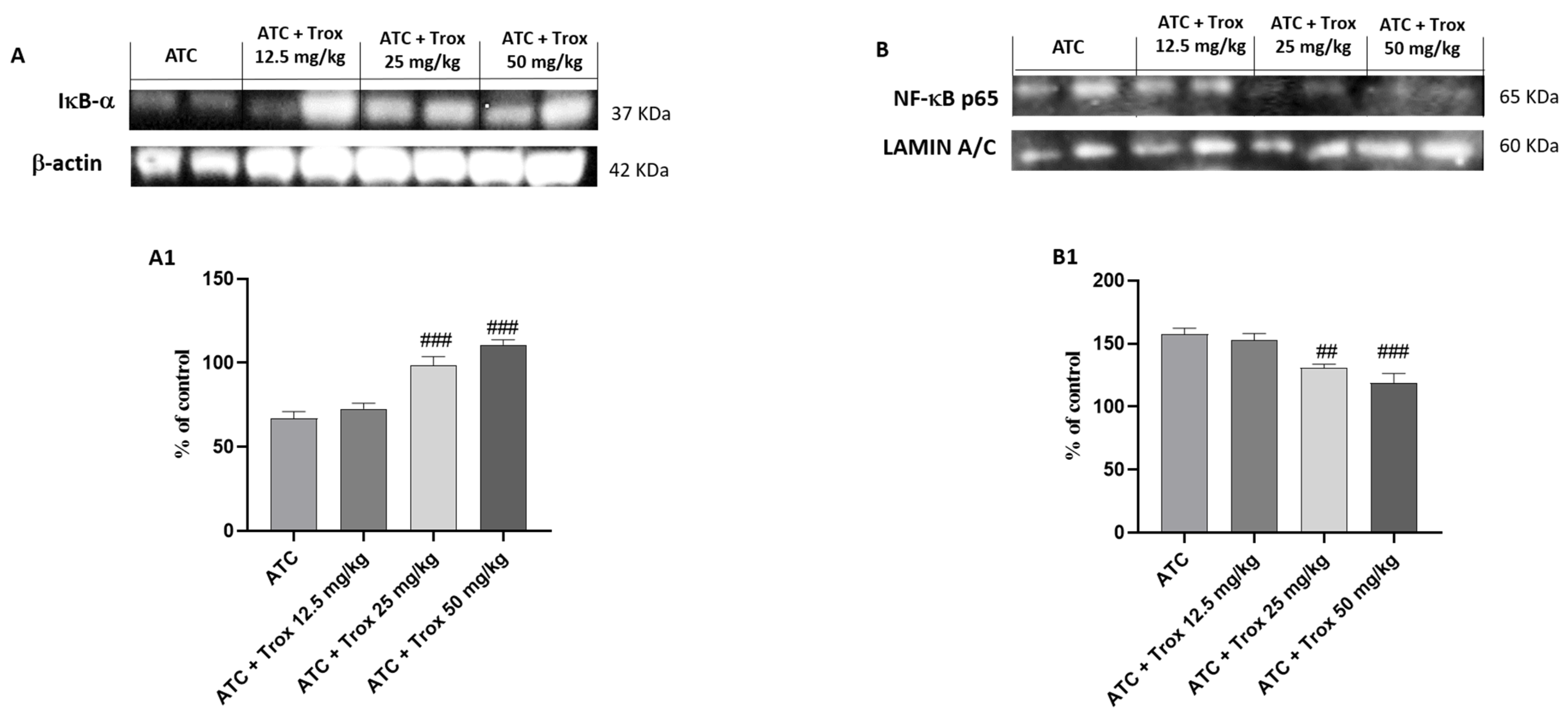 Biomedicines 12 01755 g009 Biomedicines 12 01755 g009