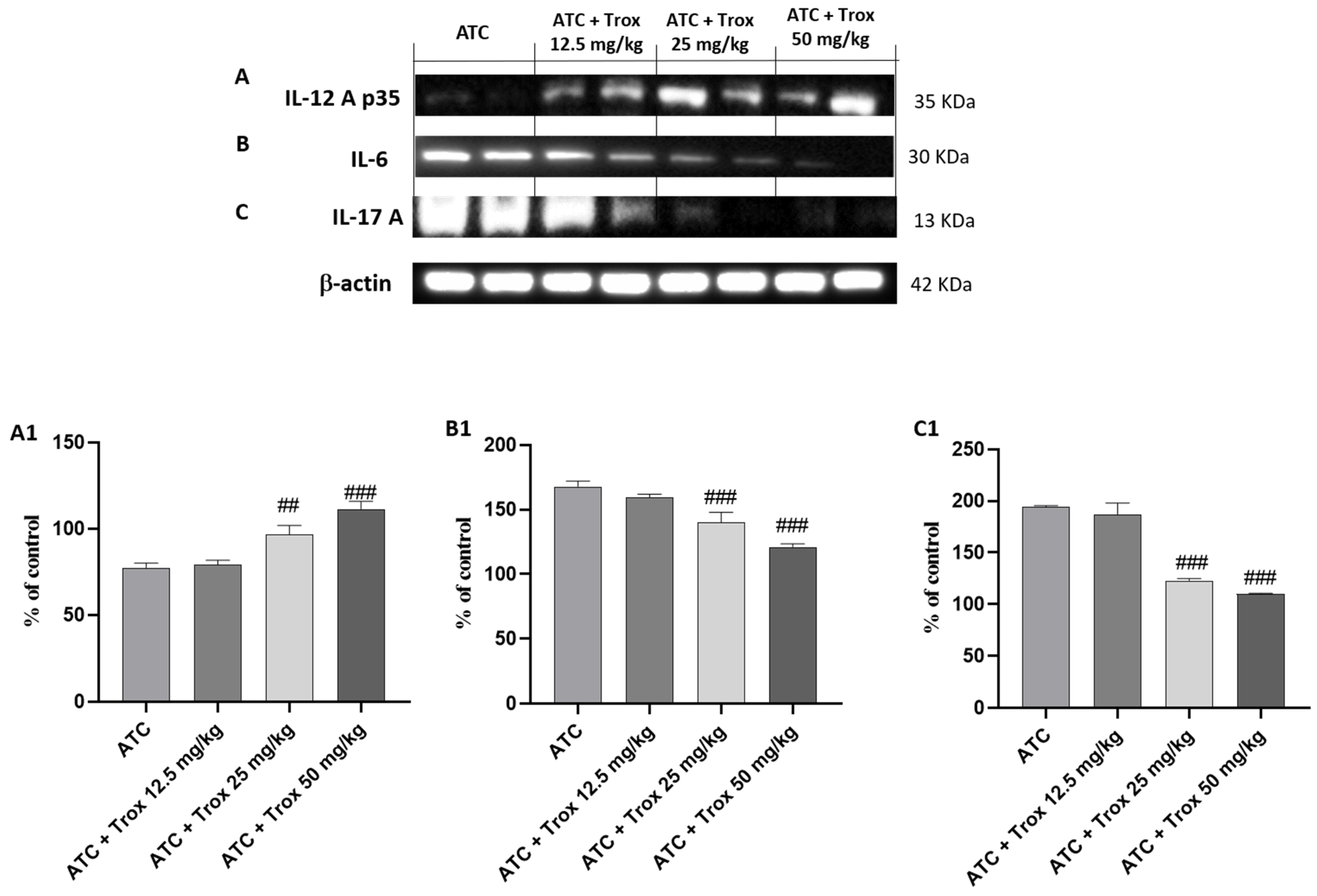 Biomedicines 12 01755 g010 Biomedicines 12 01755 g010