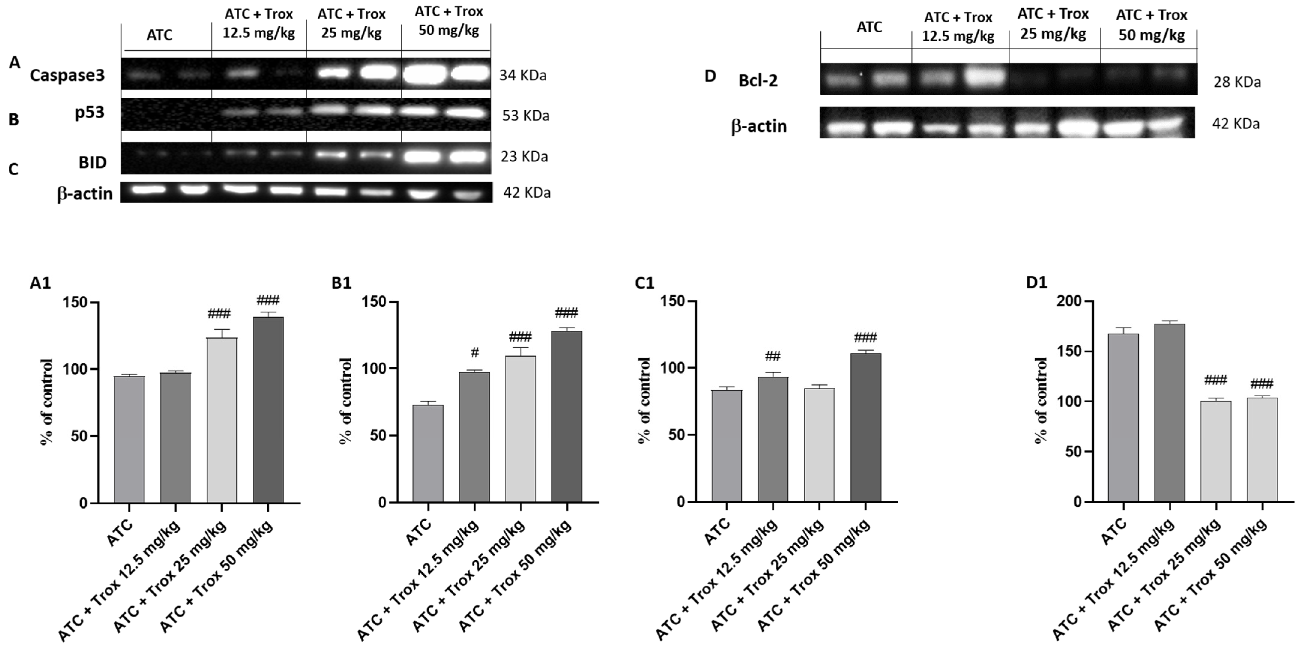 Biomedicines 12 01755 g011 Biomedicines 12 01755 g011