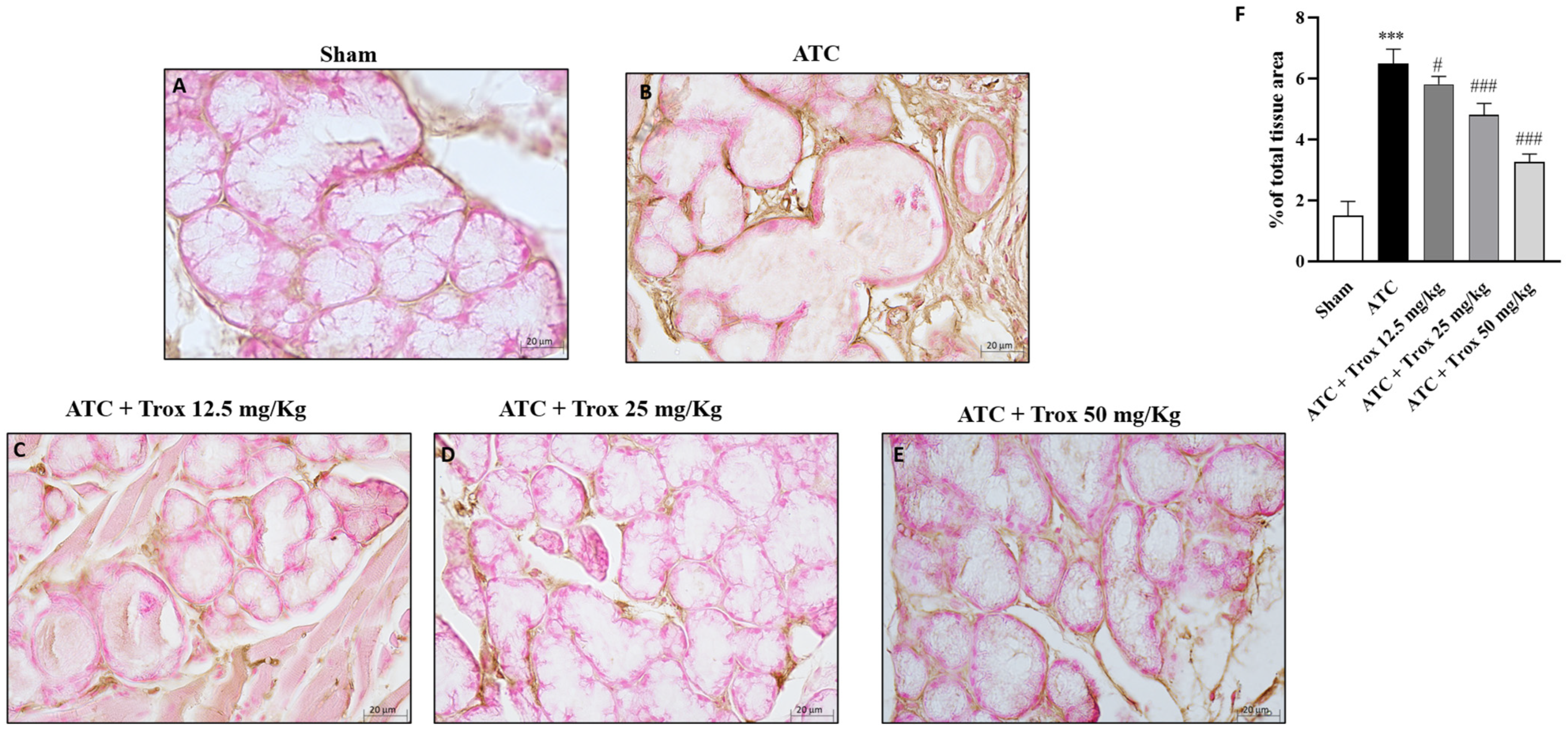 Biomedicines 12 01755 g012 Biomedicines 12 01755 g012