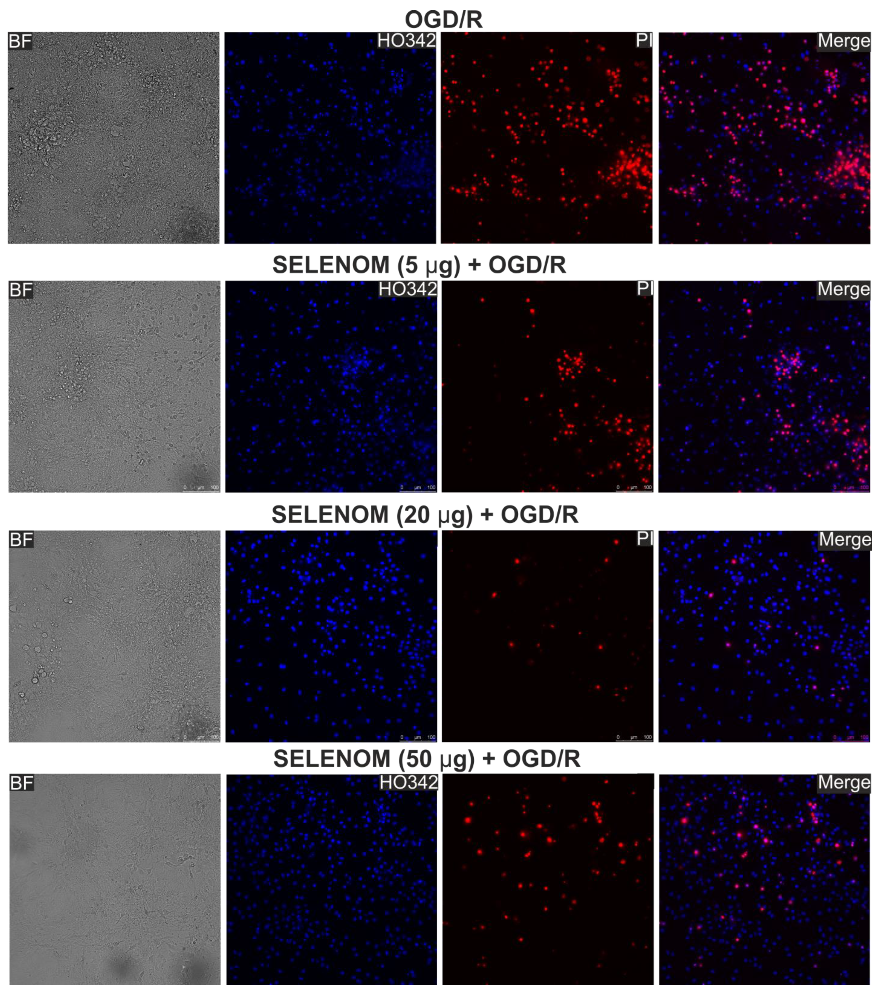 Biomedicines 12 01756 g003