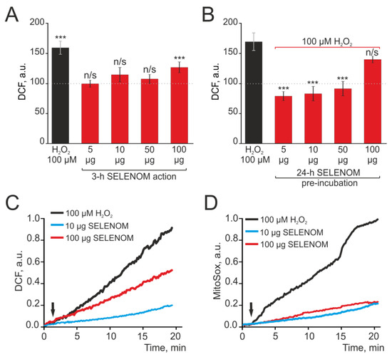 Regulatory Role and Cytoprotective Effects of Exogenous