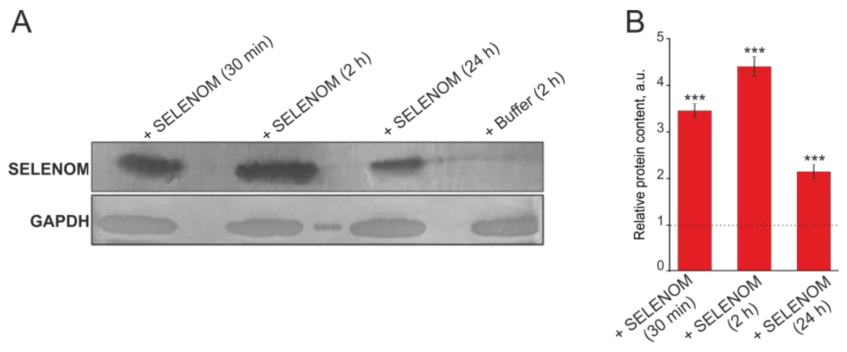 Biomedicines 12 01756 g012