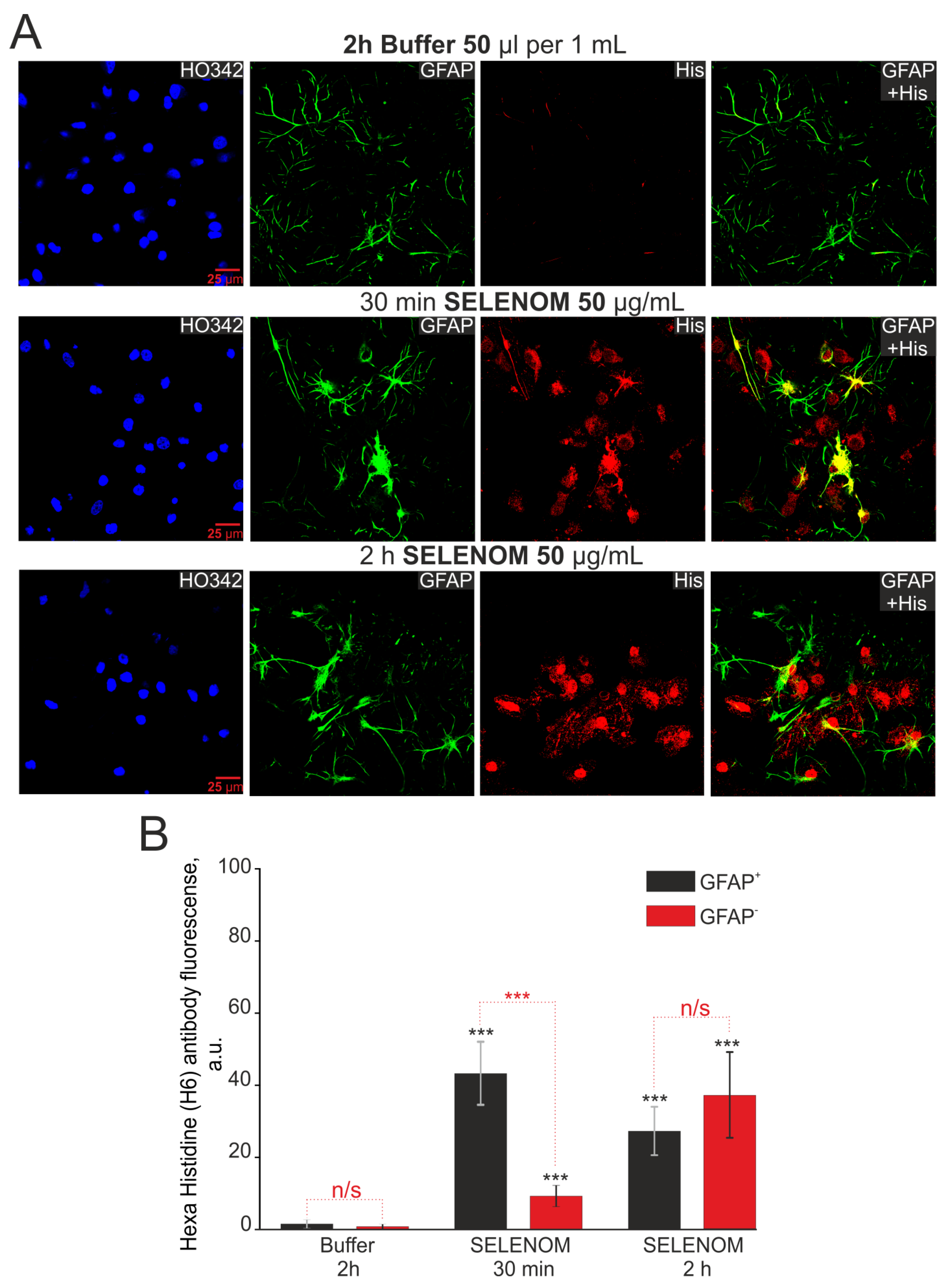 Biomedicines 12 01756 g013