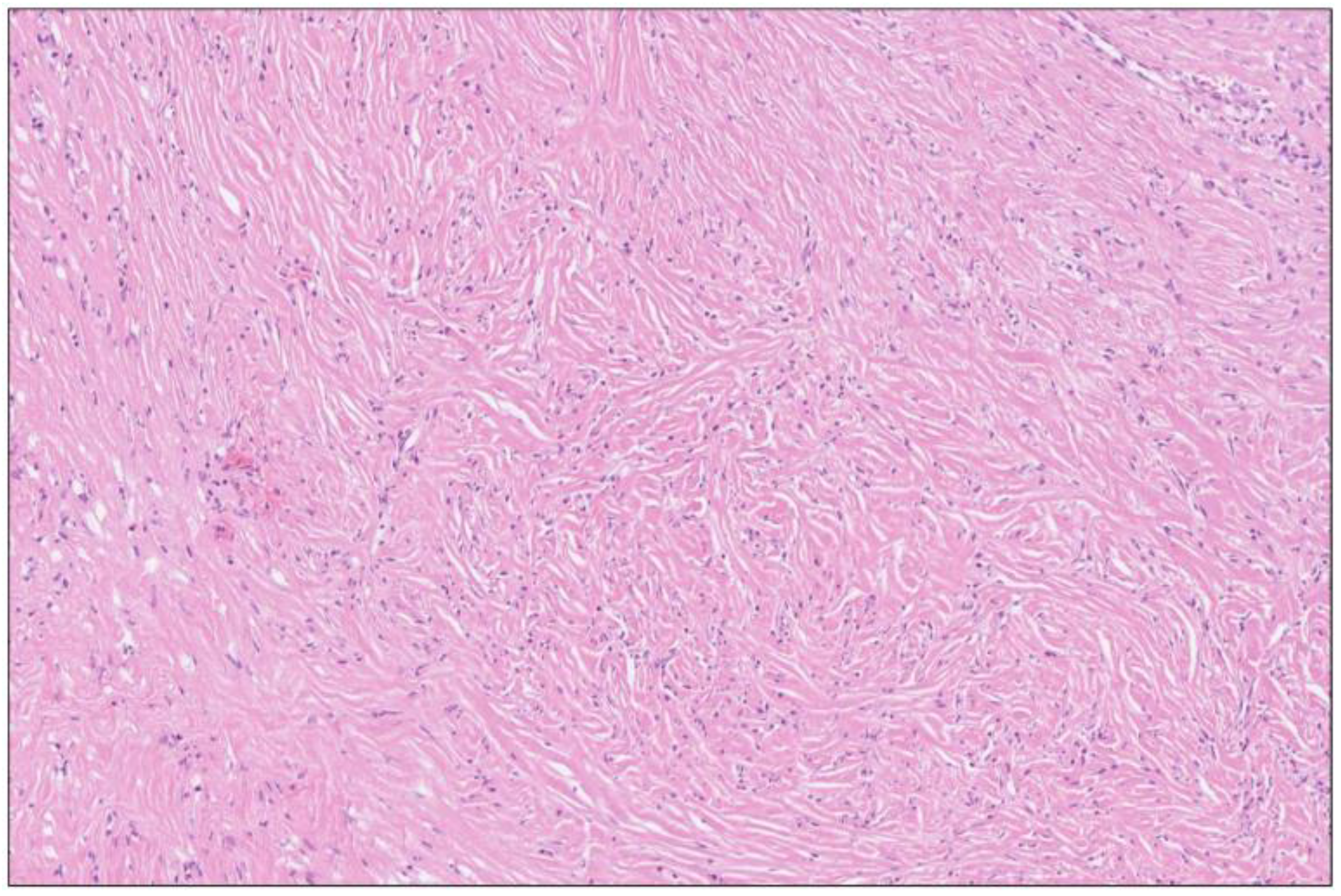 Biomedicines 12 01762 g008