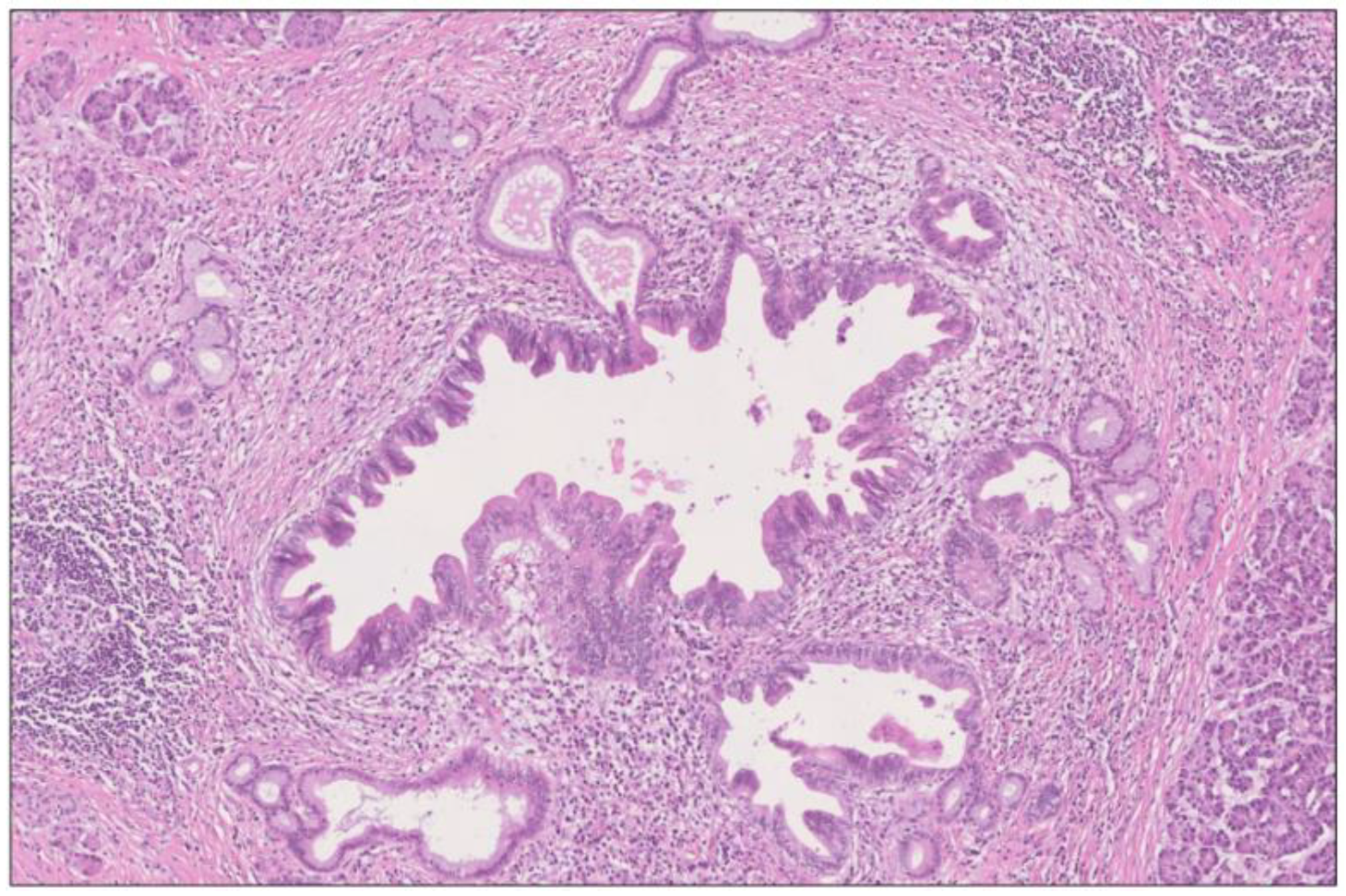 Biomedicines 12 01762 g009