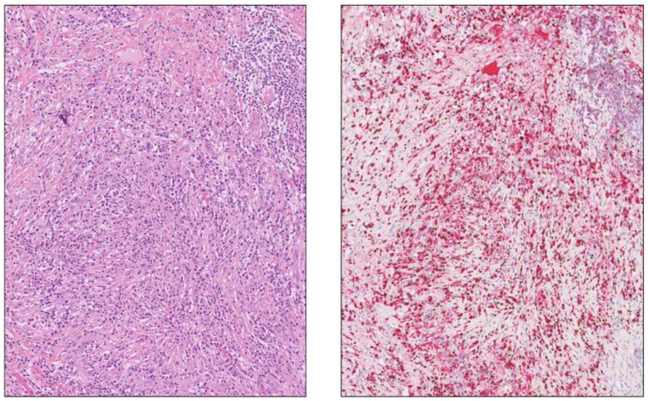 Biomedicines 12 01762 g010