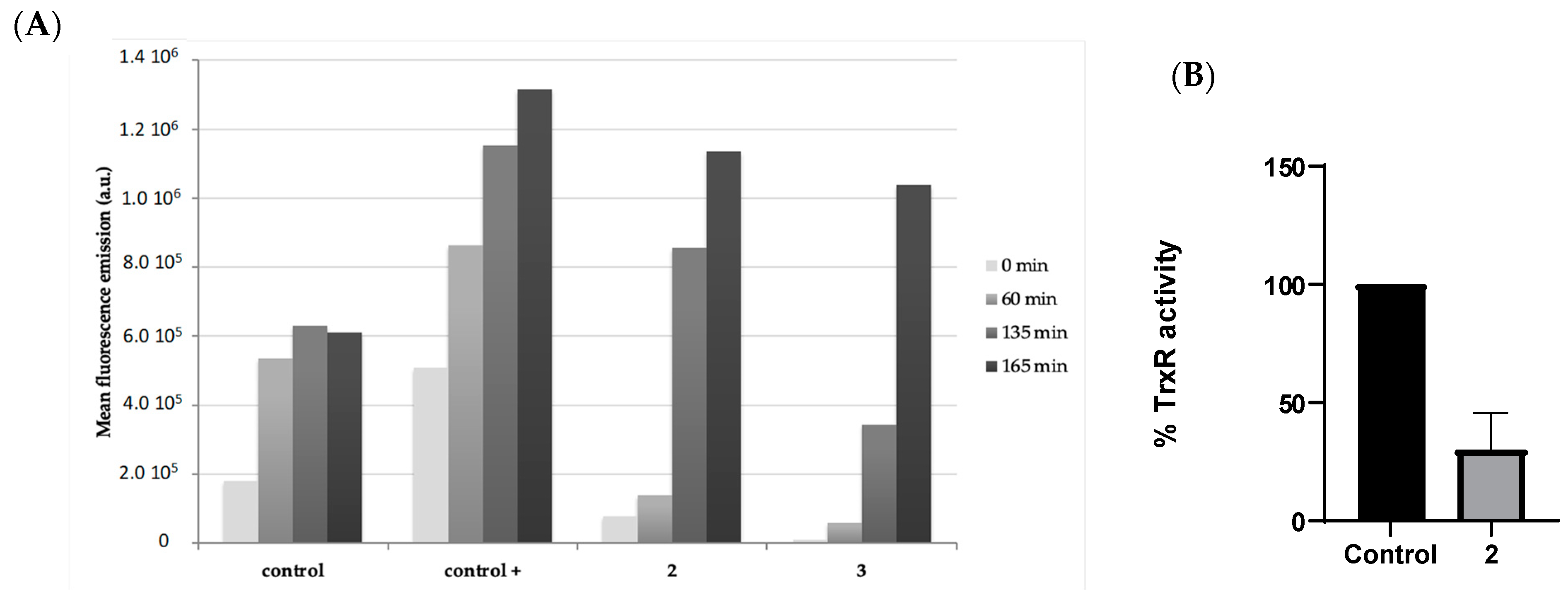 Biomedicines 12 01763 g005