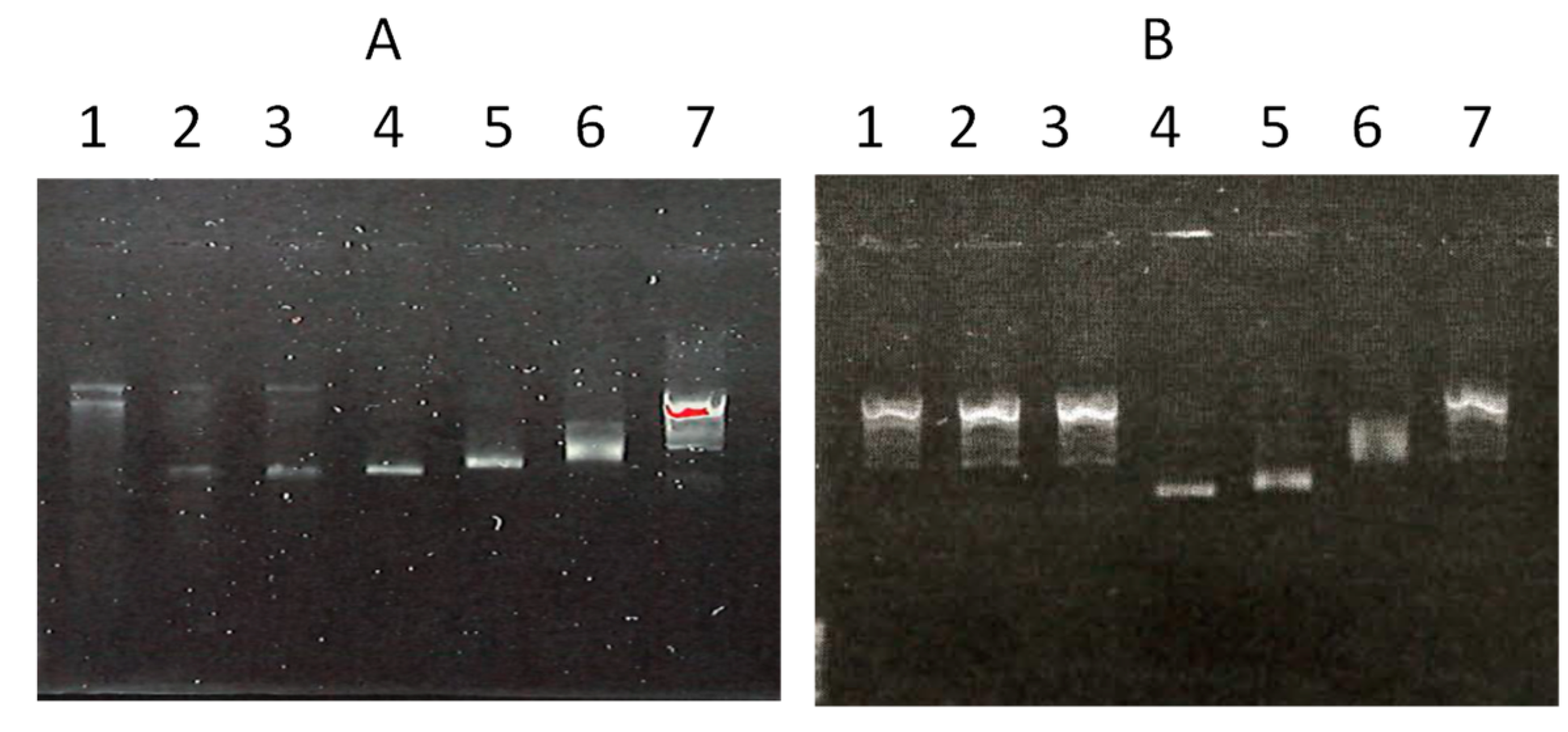 Biomedicines 12 01763 g007