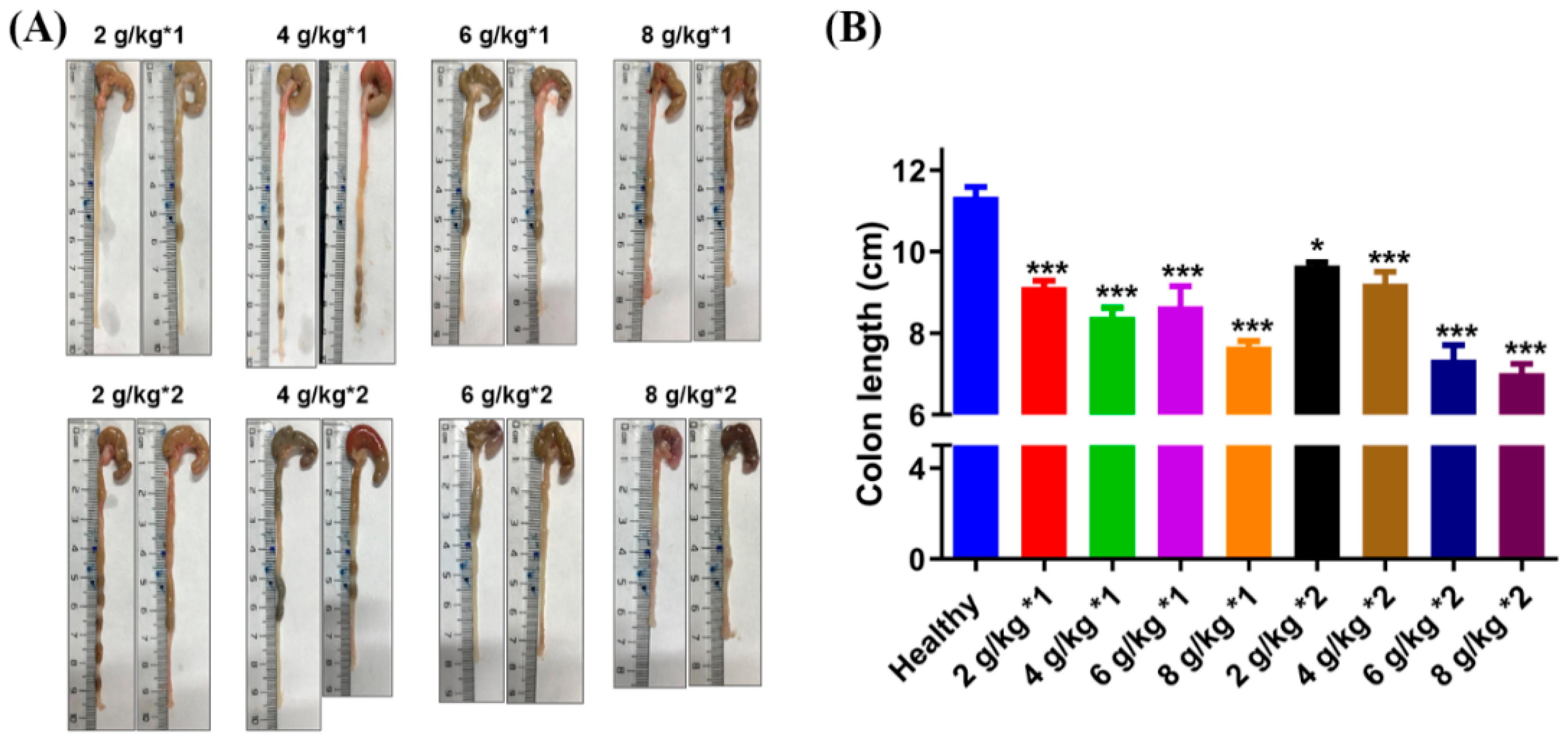 Biomedicines 12 01764 g002