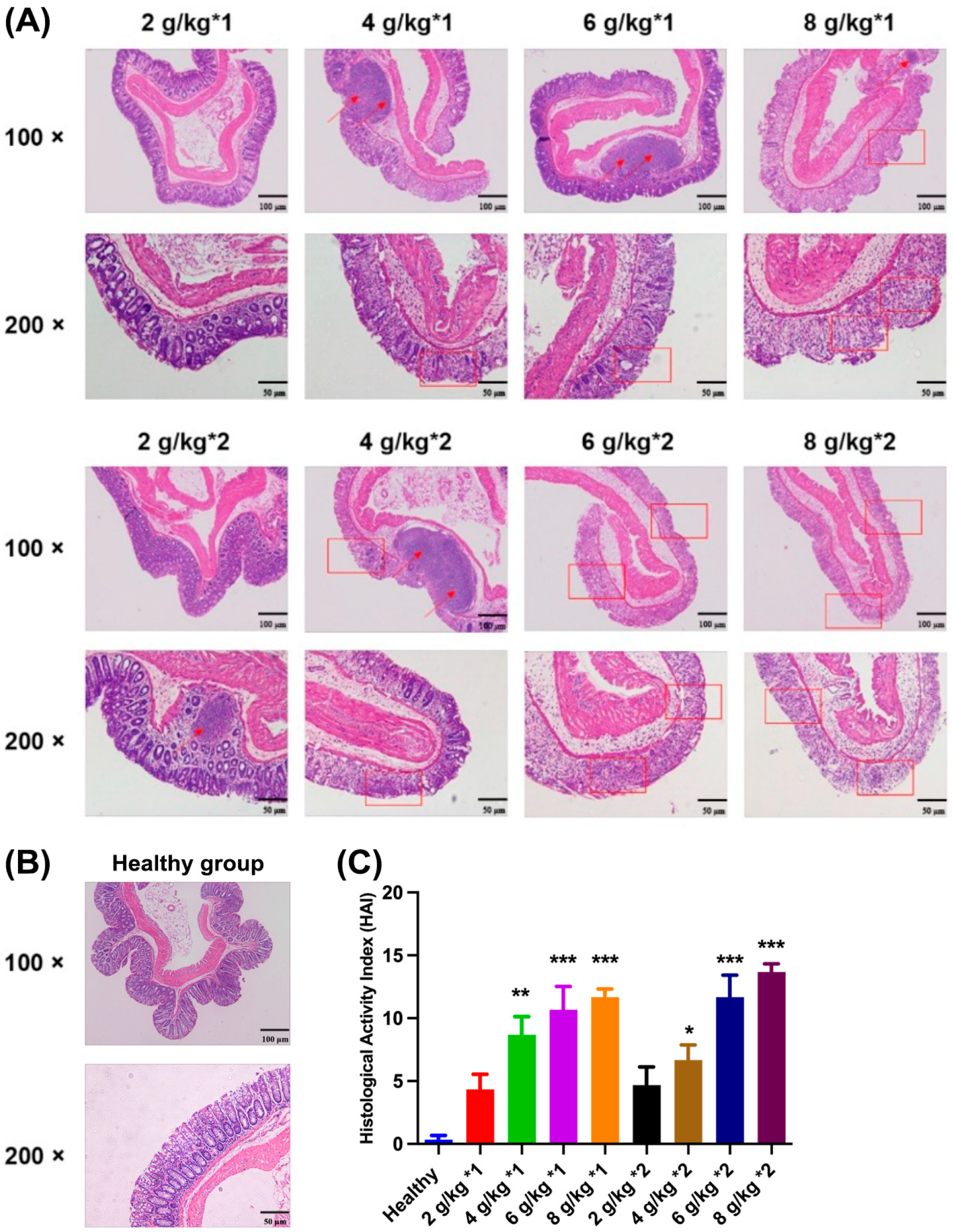 Biomedicines 12 01764 g003