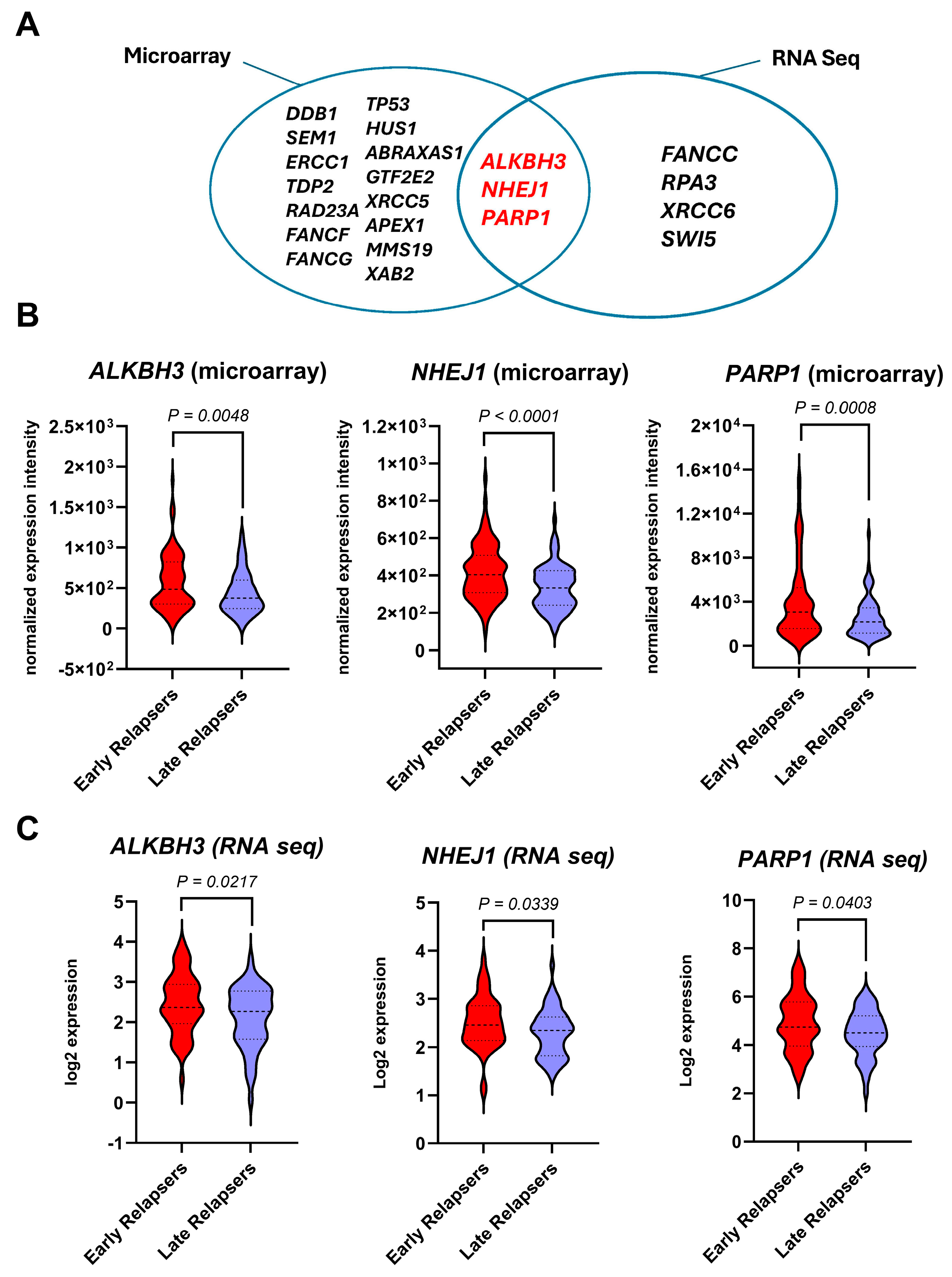 Biomedicines 12 01766 g001 Biomedicines 12 01766 g001