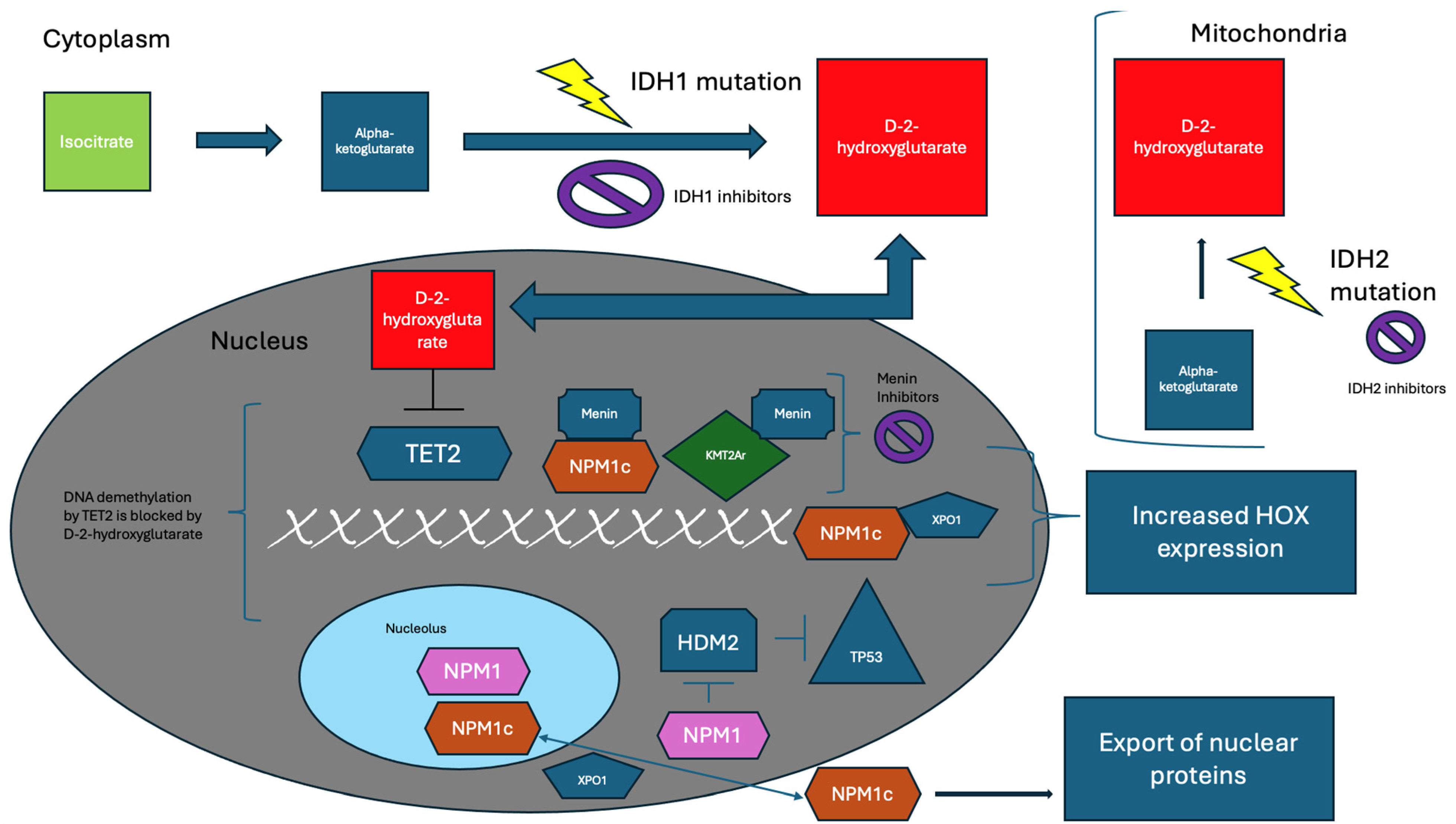 Biomedicines 12 01768 g001 Biomedicines 12 01768 g001