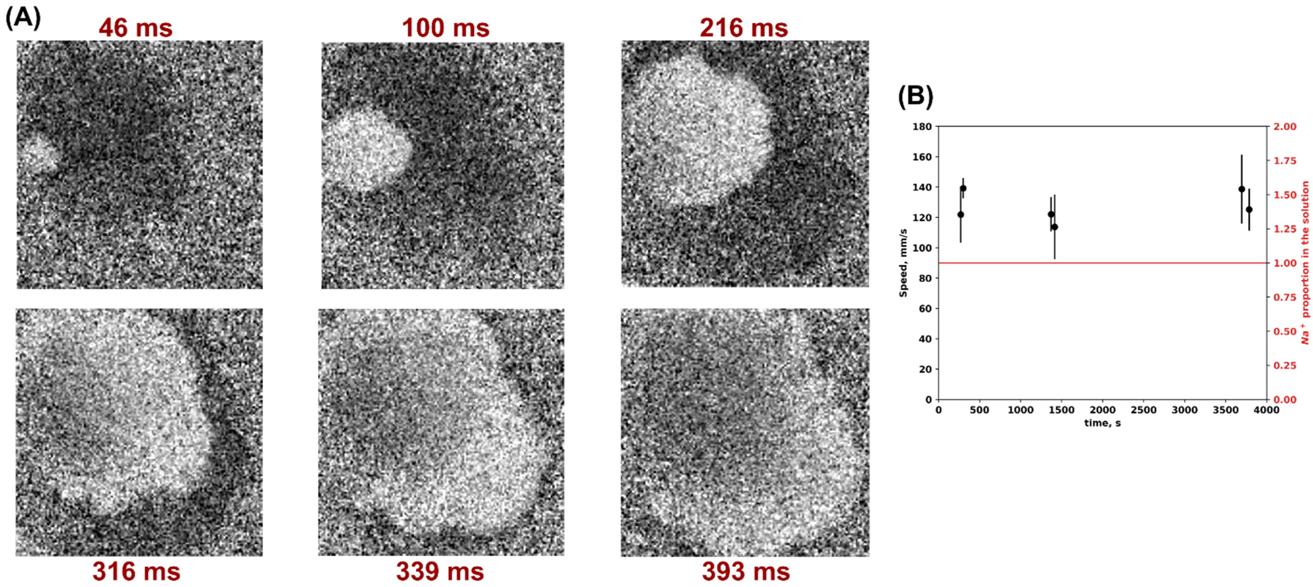 Biomedicines 12 01770 g001 Biomedicines 12 01770 g001