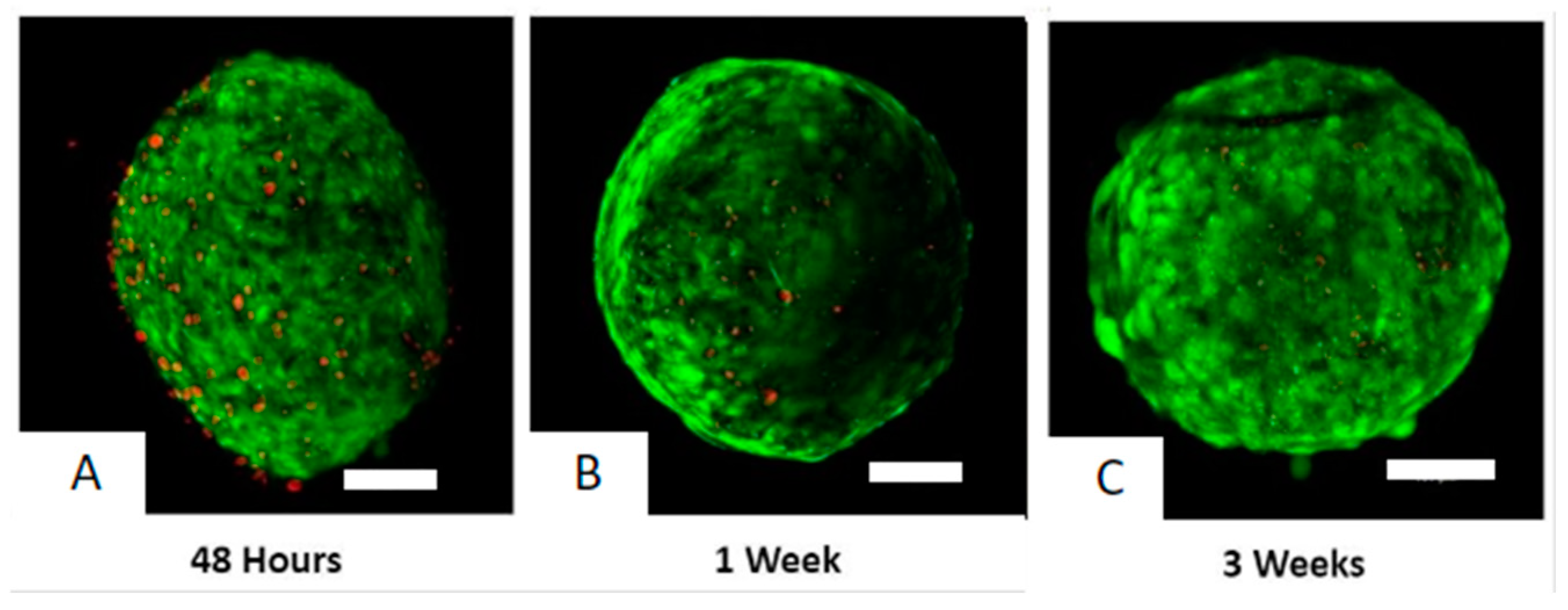 Biomedicines 12 01774 g003