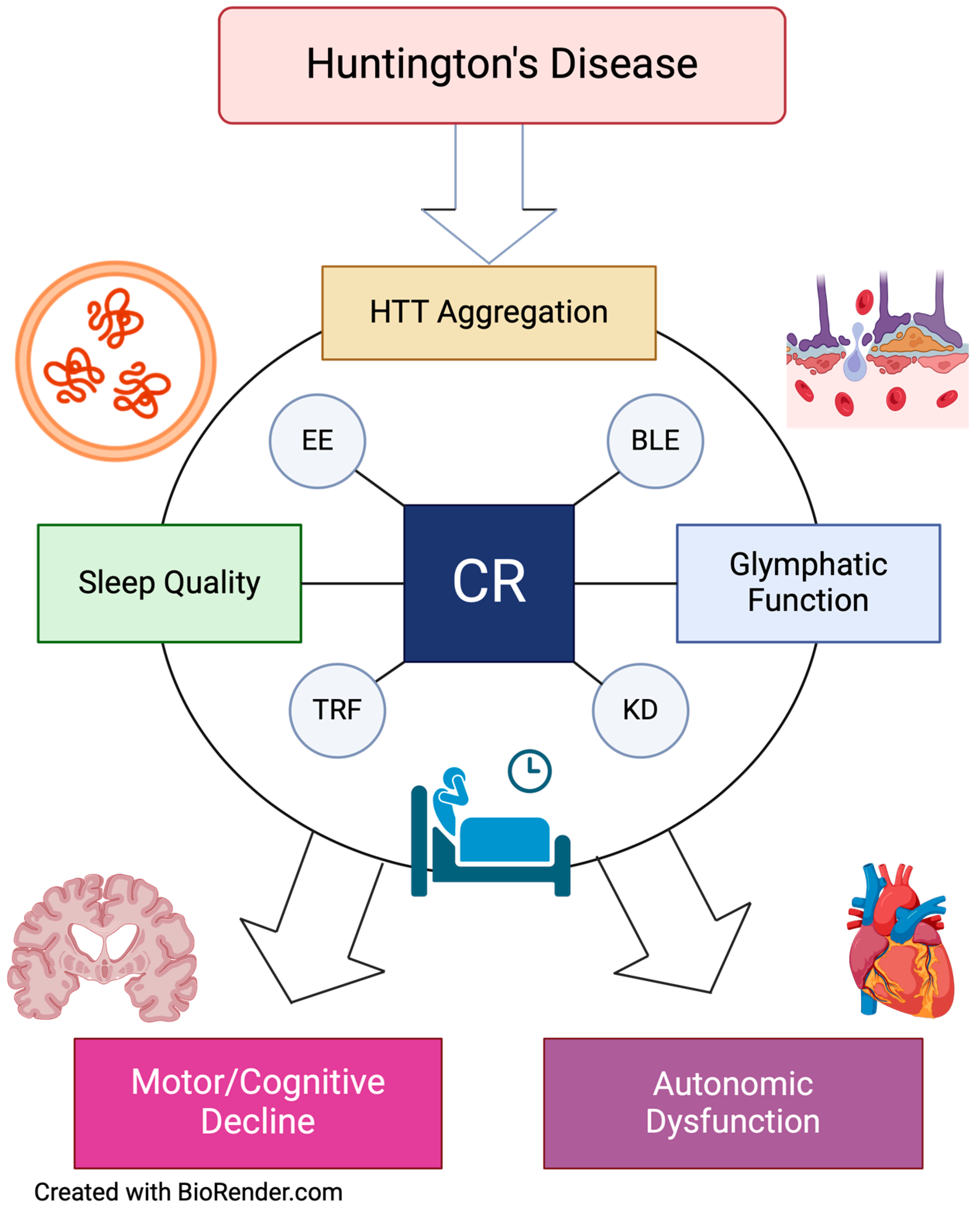 Biomedicines 12 01777 g002 Biomedicines 12 01777 g002