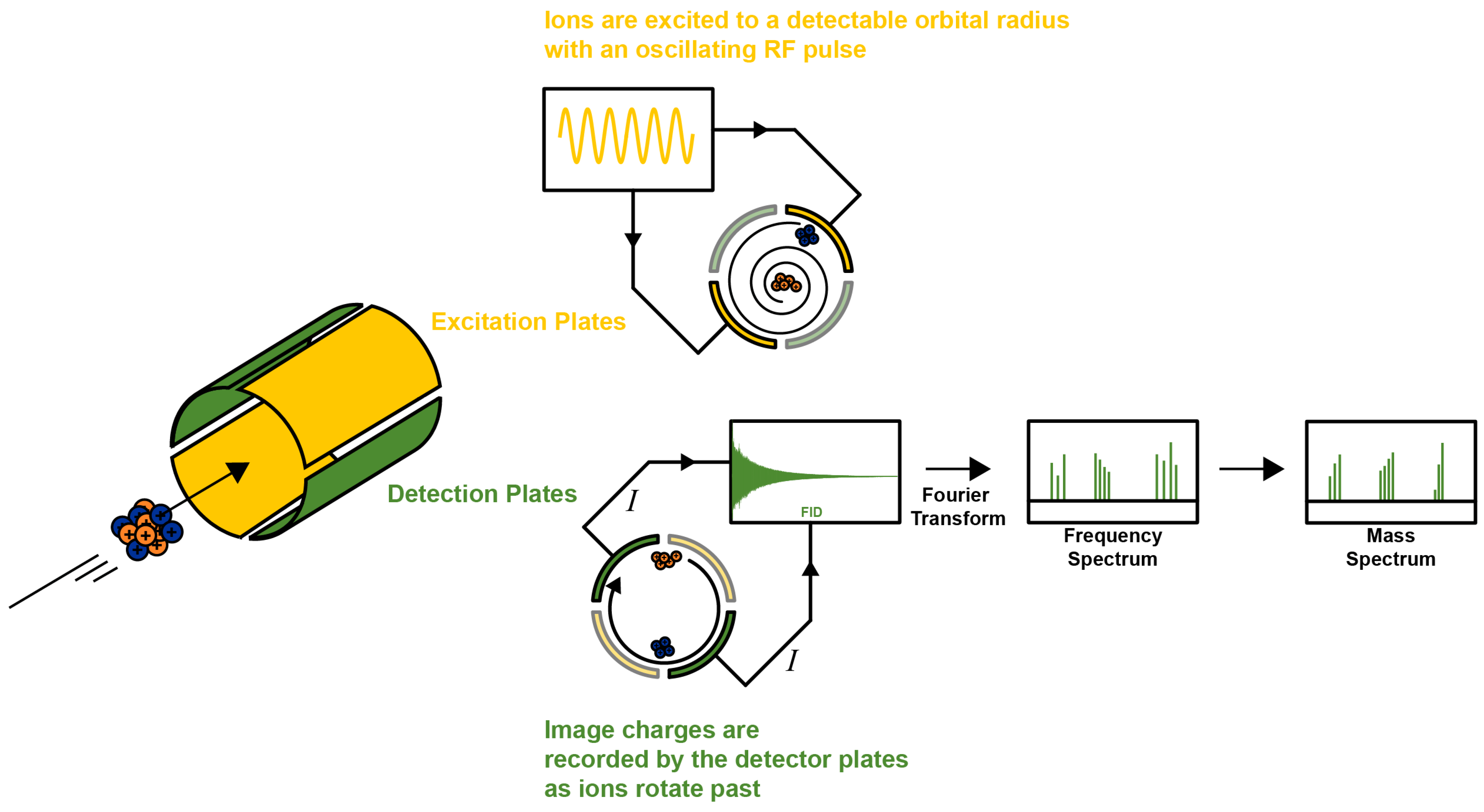 Biomedicines 12 01786 g001
