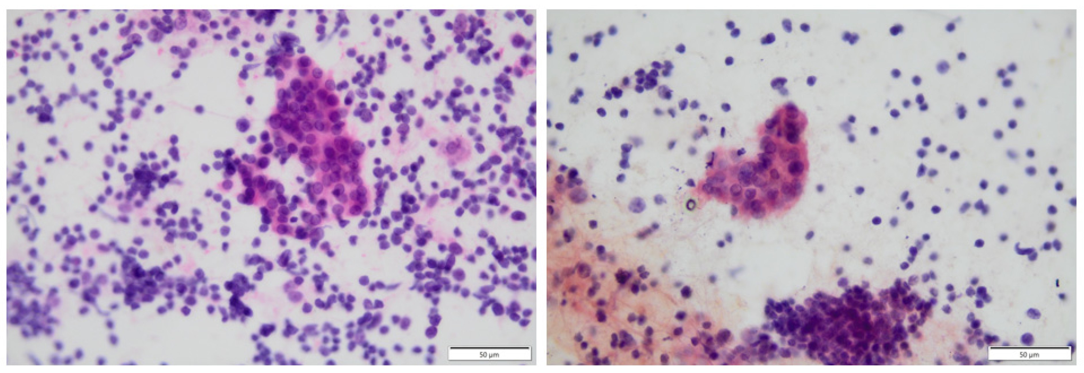 Biomedicines 12 01788 g001 Biomedicines 12 01788 g001