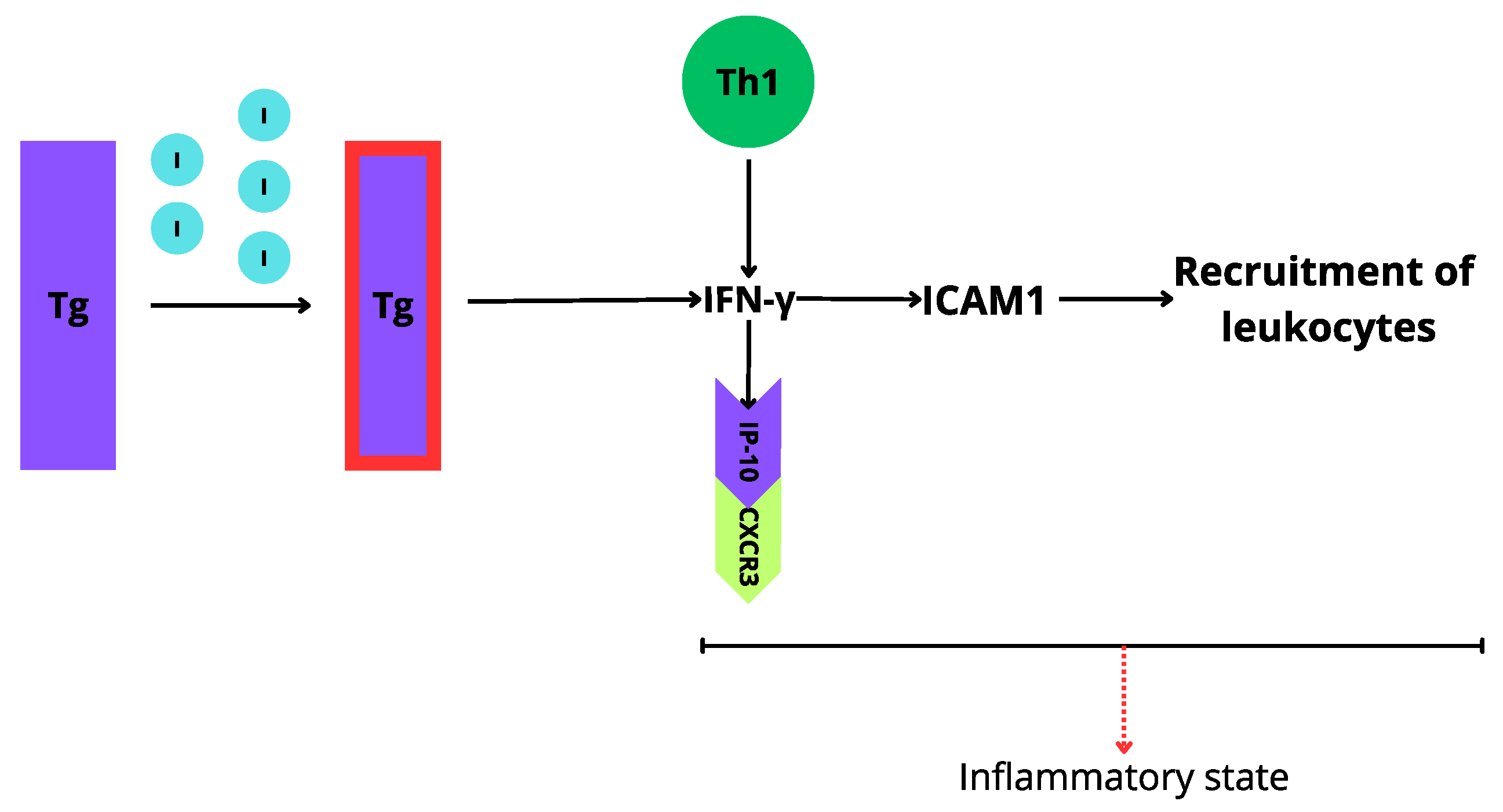 Biomedicines 12 01788 g002 Biomedicines 12 01788 g002